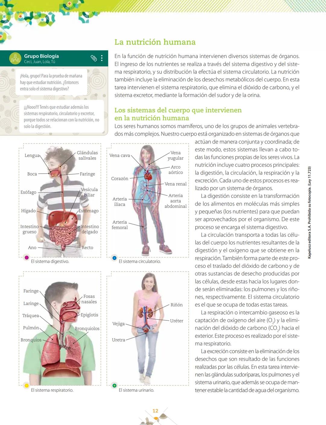 La nutrición y las células
<<
1
>>
La alimentación
y la nutrición humana
Q Alimentación y nutrición humana
#AlimentaciónenlaVida Humana