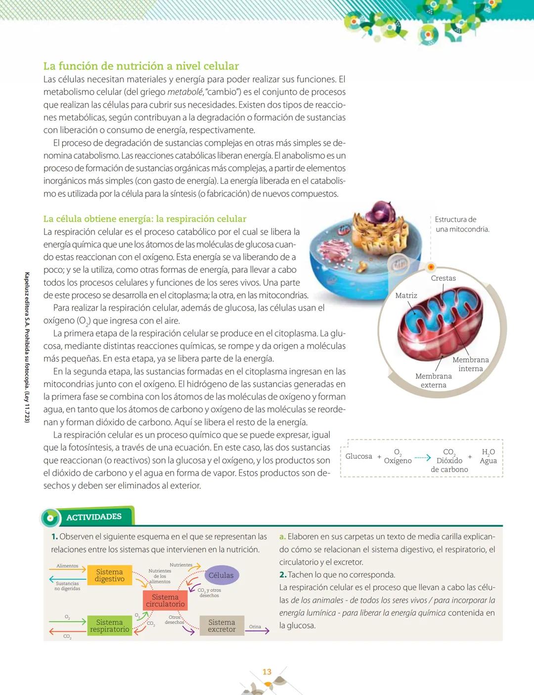 La nutrición y las células
<<
1
>>
La alimentación
y la nutrición humana
Q Alimentación y nutrición humana
#AlimentaciónenlaVida Humana