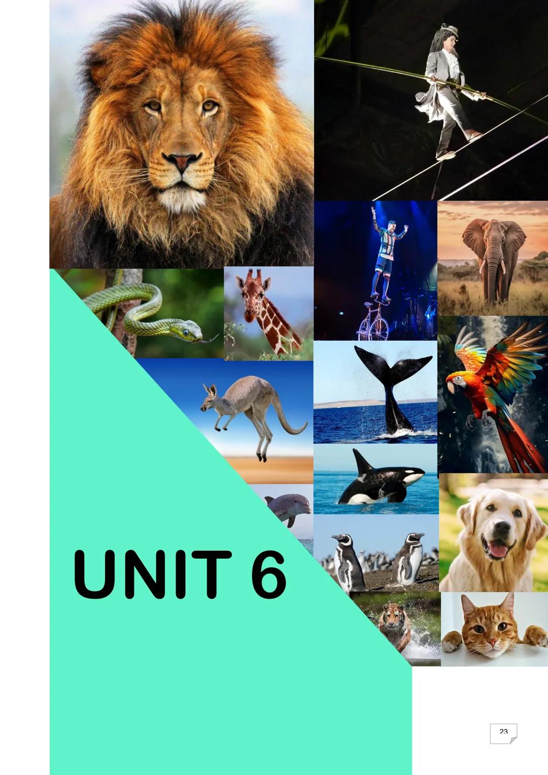 # My English Workbook
2do año
Name:.................................
Escuela N° 751 UNIT 4 Let's get started!
1. Read the TO-DO LIST fro