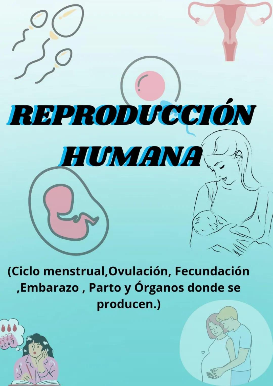 REPRODUCCIÓN
HUMANA
(Ciclo menstrual, Ovulación, Fecundación
,Embarazo, Parto y Órganos donde se
producen.)
♡ ESCUELA NORMAL SUPERIOR
DATOS