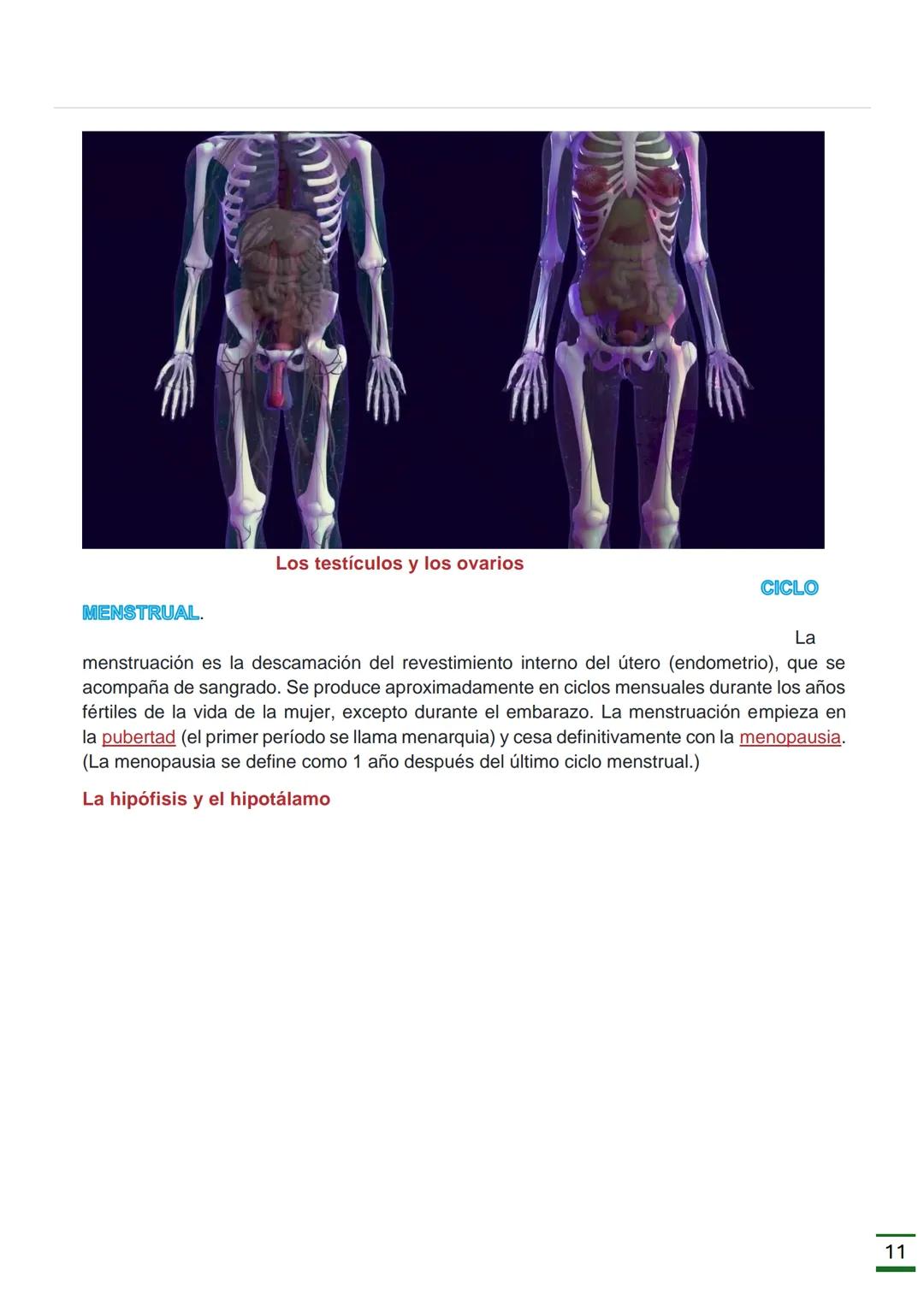 REPRODUCCIÓN
HUMANA
(Ciclo menstrual, Ovulación, Fecundación
,Embarazo, Parto y Órganos donde se
producen.)
♡ ESCUELA NORMAL SUPERIOR
DATOS