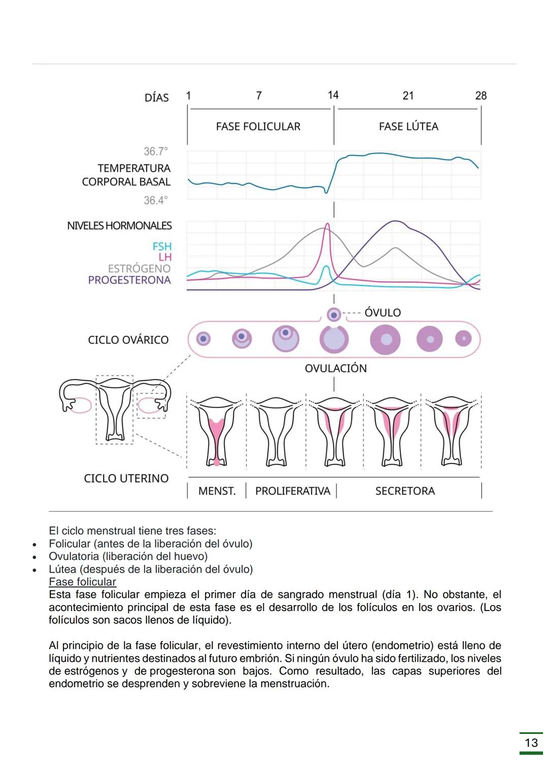 REPRODUCCIÓN
HUMANA
(Ciclo menstrual, Ovulación, Fecundación
,Embarazo, Parto y Órganos donde se
producen.)
♡ ESCUELA NORMAL SUPERIOR
DATOS