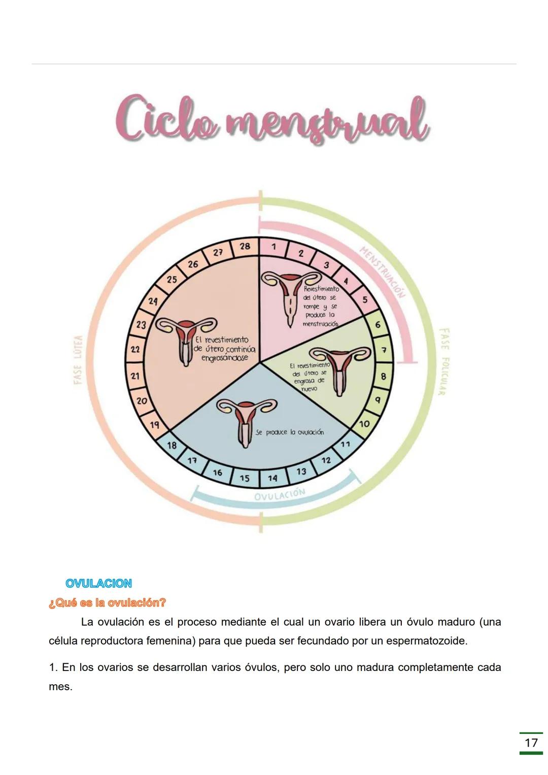 REPRODUCCIÓN
HUMANA
(Ciclo menstrual, Ovulación, Fecundación
,Embarazo, Parto y Órganos donde se
producen.)
♡ ESCUELA NORMAL SUPERIOR
DATOS
