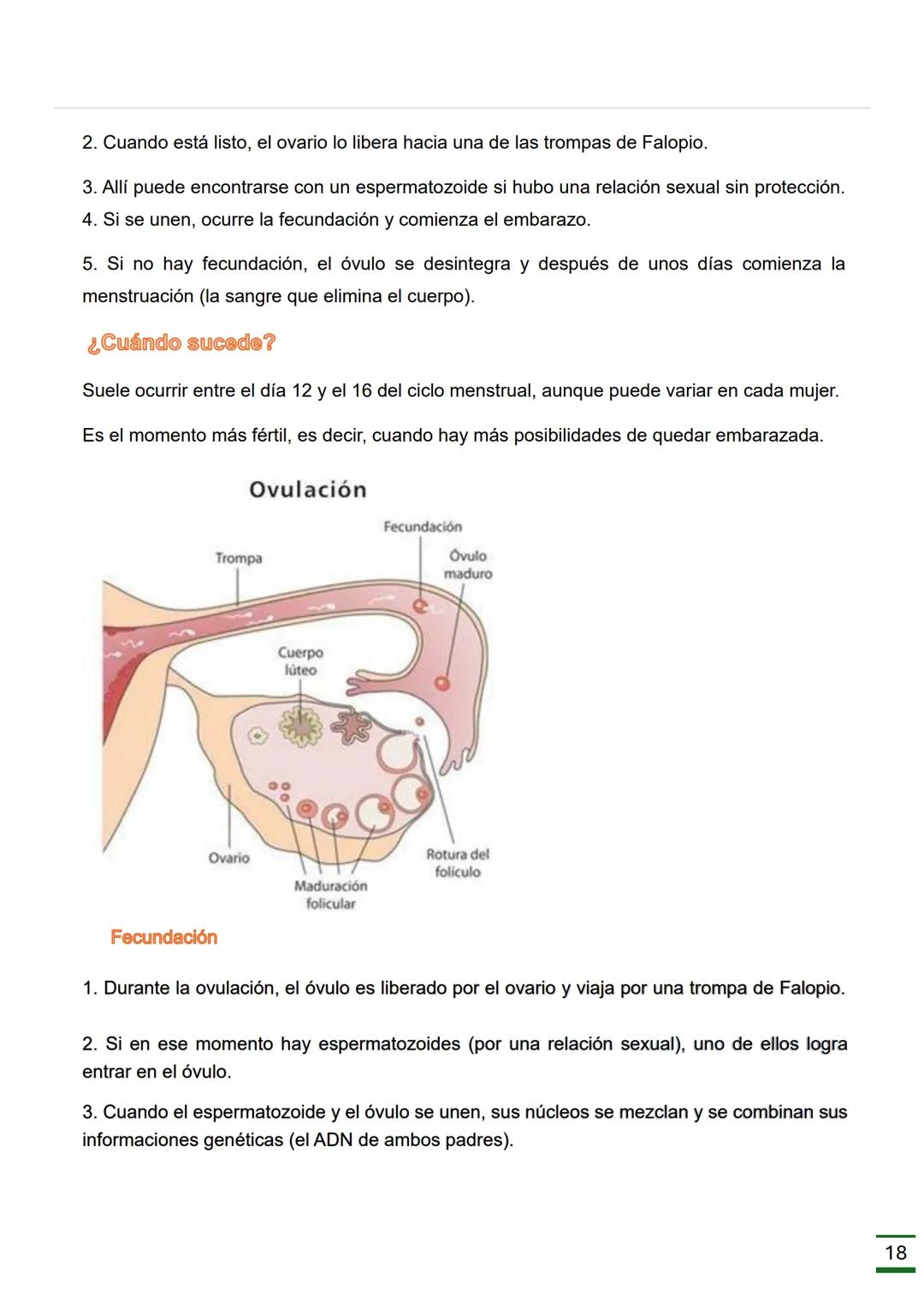 REPRODUCCIÓN
HUMANA
(Ciclo menstrual, Ovulación, Fecundación
,Embarazo, Parto y Órganos donde se
producen.)
♡ ESCUELA NORMAL SUPERIOR
DATOS