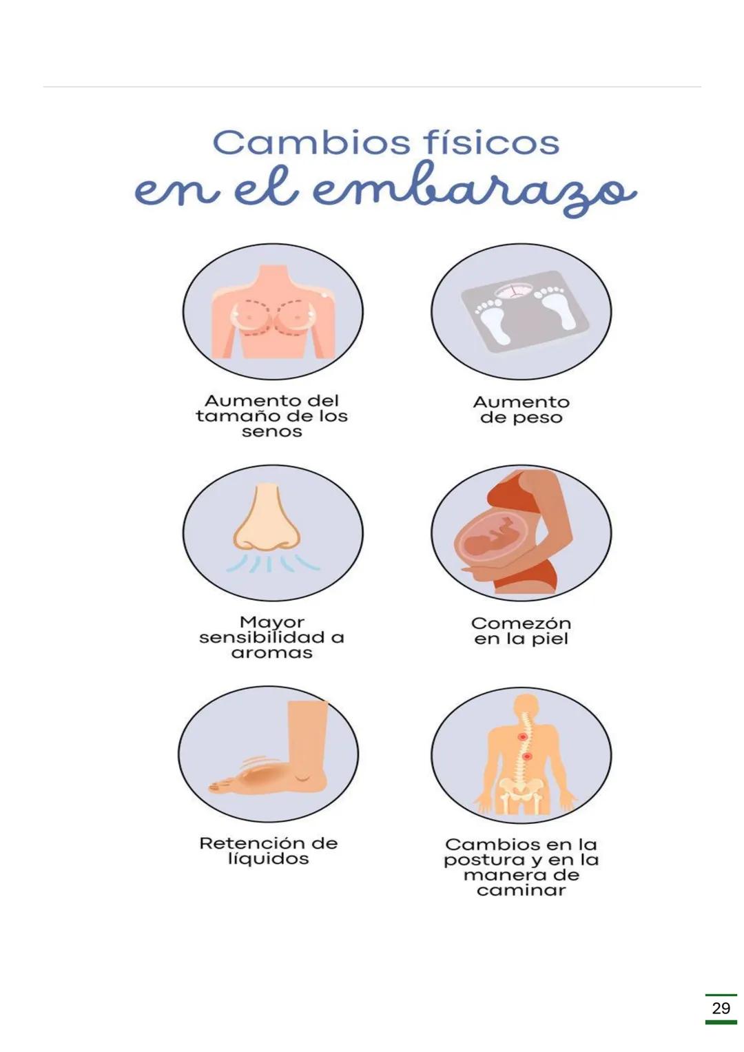 REPRODUCCIÓN
HUMANA
(Ciclo menstrual, Ovulación, Fecundación
,Embarazo, Parto y Órganos donde se
producen.)
♡ ESCUELA NORMAL SUPERIOR
DATOS