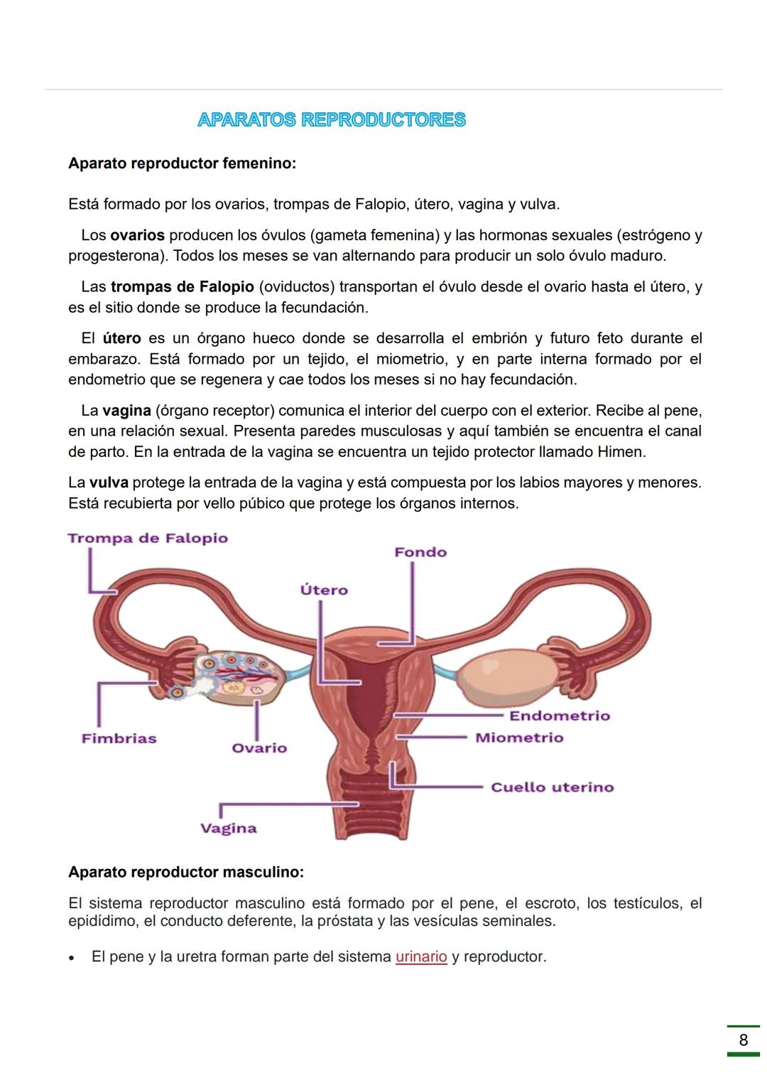 REPRODUCCIÓN
HUMANA
(Ciclo menstrual, Ovulación, Fecundación
,Embarazo, Parto y Órganos donde se
producen.)
♡ ESCUELA NORMAL SUPERIOR
DATOS