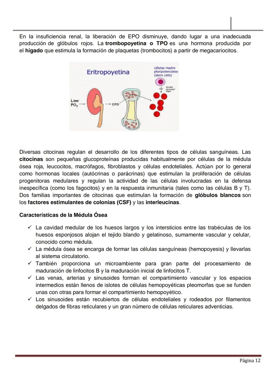 MATERIAL DE ESTUDIO
HEMATOLOGÍA
SANGRE PERIFÉRICA
✓ La sangre es un líquido ligeramente alcalino (pH, 7.4), viscoso de color rojo brillan