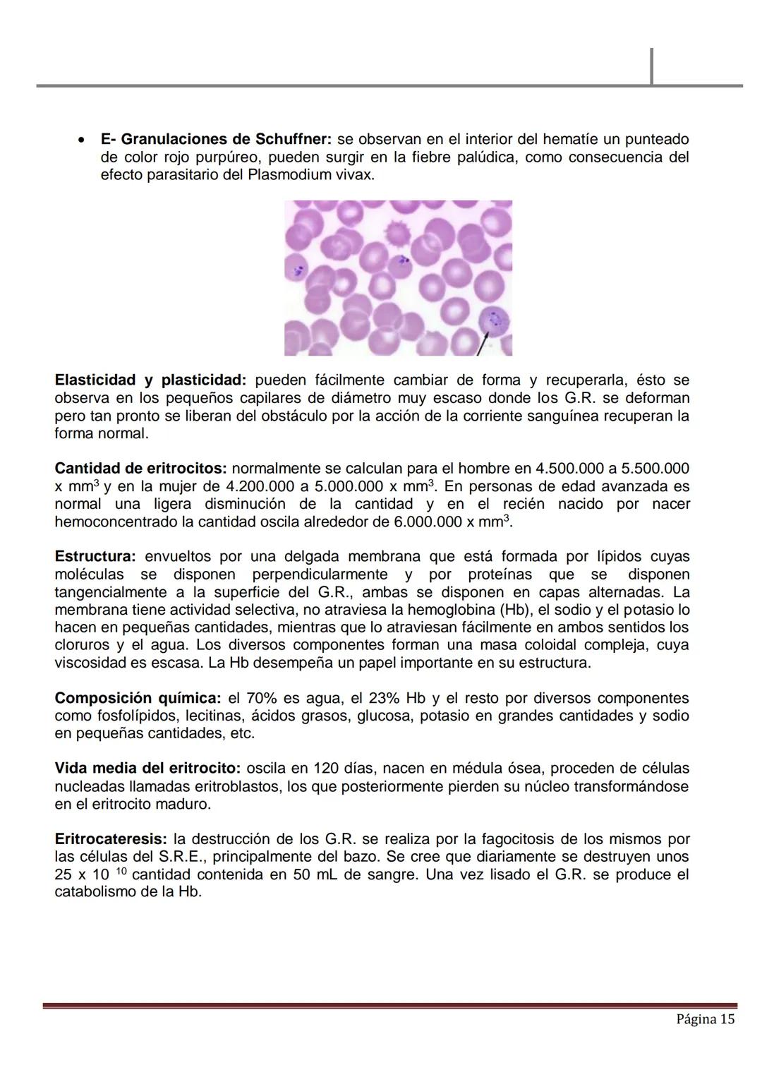 MATERIAL DE ESTUDIO
HEMATOLOGÍA
SANGRE PERIFÉRICA
✓ La sangre es un líquido ligeramente alcalino (pH, 7.4), viscoso de color rojo brillan