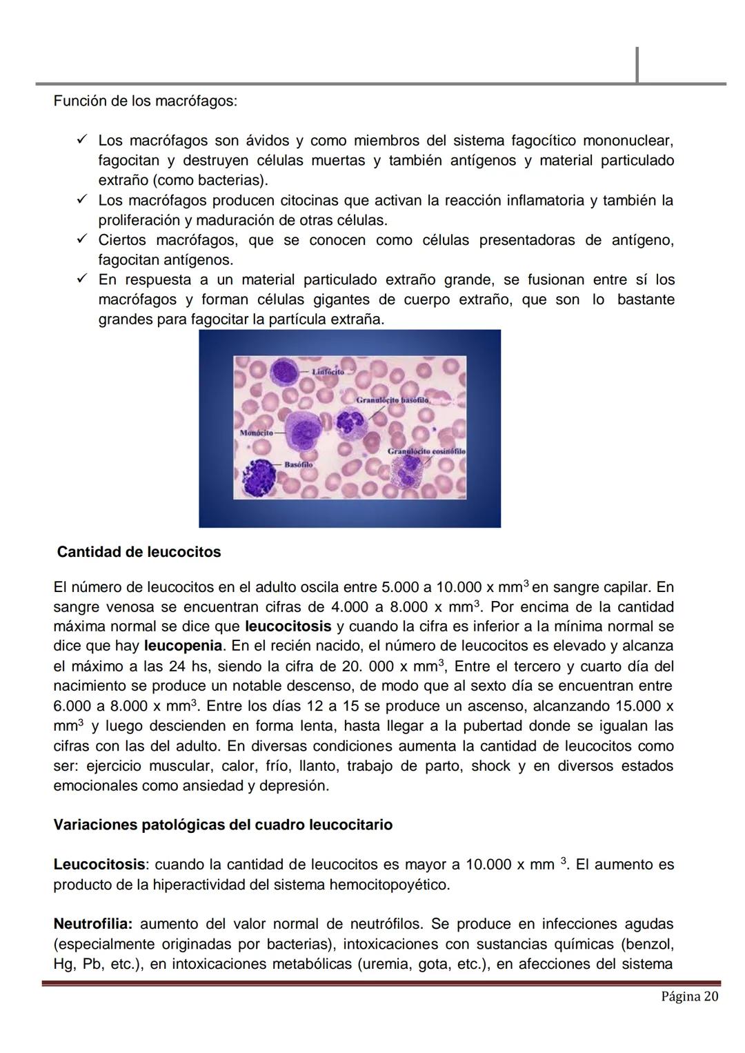 MATERIAL DE ESTUDIO
HEMATOLOGÍA
SANGRE PERIFÉRICA
✓ La sangre es un líquido ligeramente alcalino (pH, 7.4), viscoso de color rojo brillan