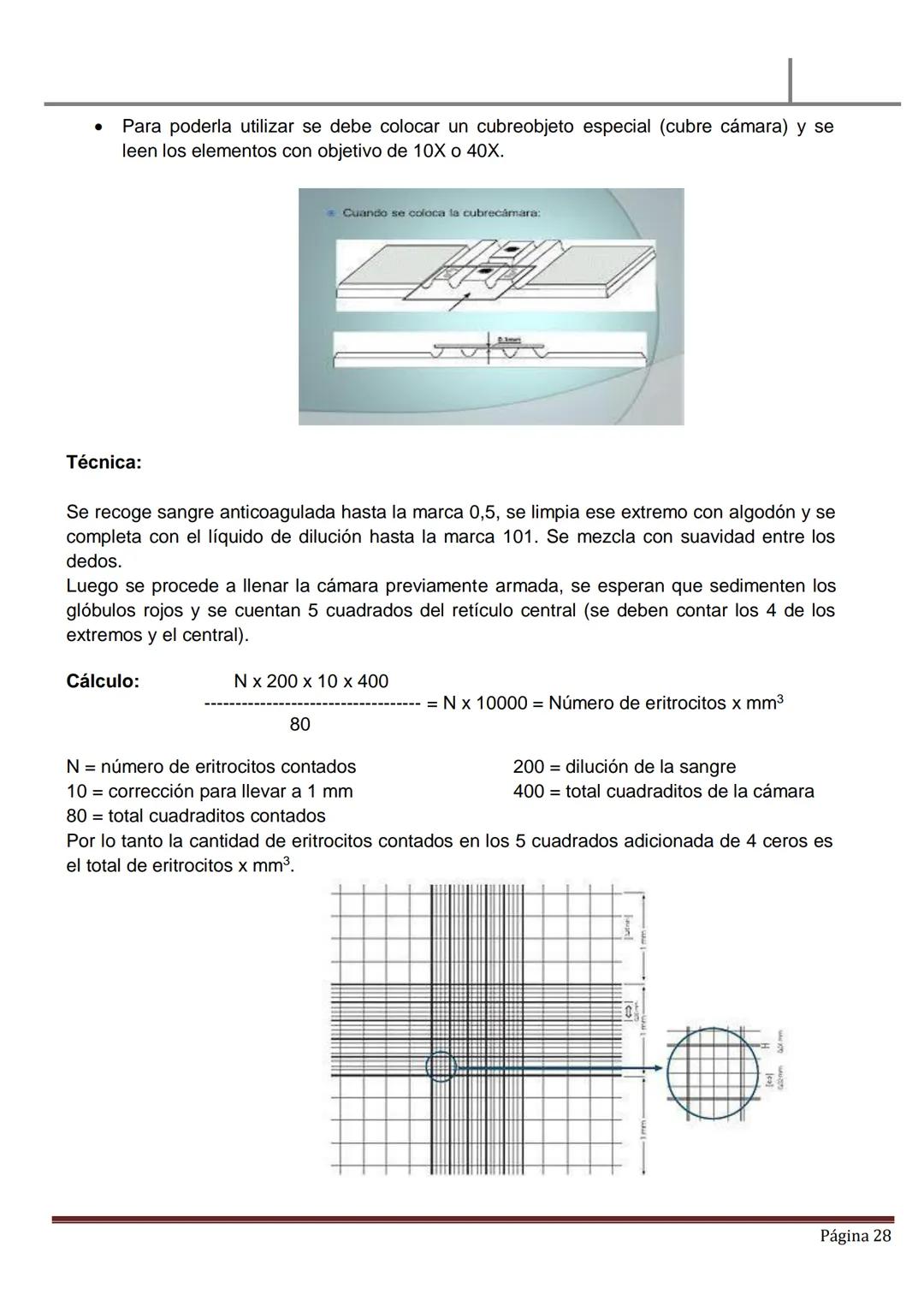 MATERIAL DE ESTUDIO
HEMATOLOGÍA
SANGRE PERIFÉRICA
✓ La sangre es un líquido ligeramente alcalino (pH, 7.4), viscoso de color rojo brillan