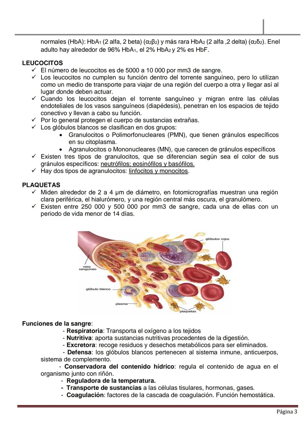 MATERIAL DE ESTUDIO
HEMATOLOGÍA
SANGRE PERIFÉRICA
✓ La sangre es un líquido ligeramente alcalino (pH, 7.4), viscoso de color rojo brillan
