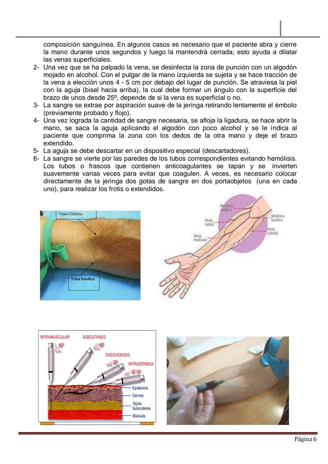 MATERIAL DE ESTUDIO
HEMATOLOGÍA
SANGRE PERIFÉRICA
✓ La sangre es un líquido ligeramente alcalino (pH, 7.4), viscoso de color rojo brillan