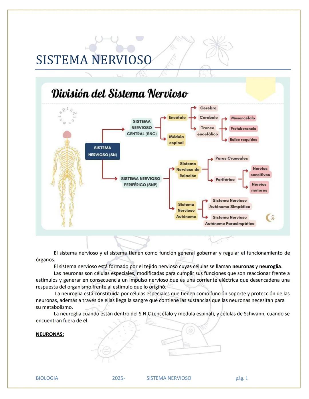 # SISTEMA NERVIOSO
## División del Sistema Nervioso
SISTEMA
NERVIOSO (SN)
SISTEMA
NERVIOSO
CENTRAL (SNC)
SISTEMA NERVIOSO
PERIFÉRICO (SN