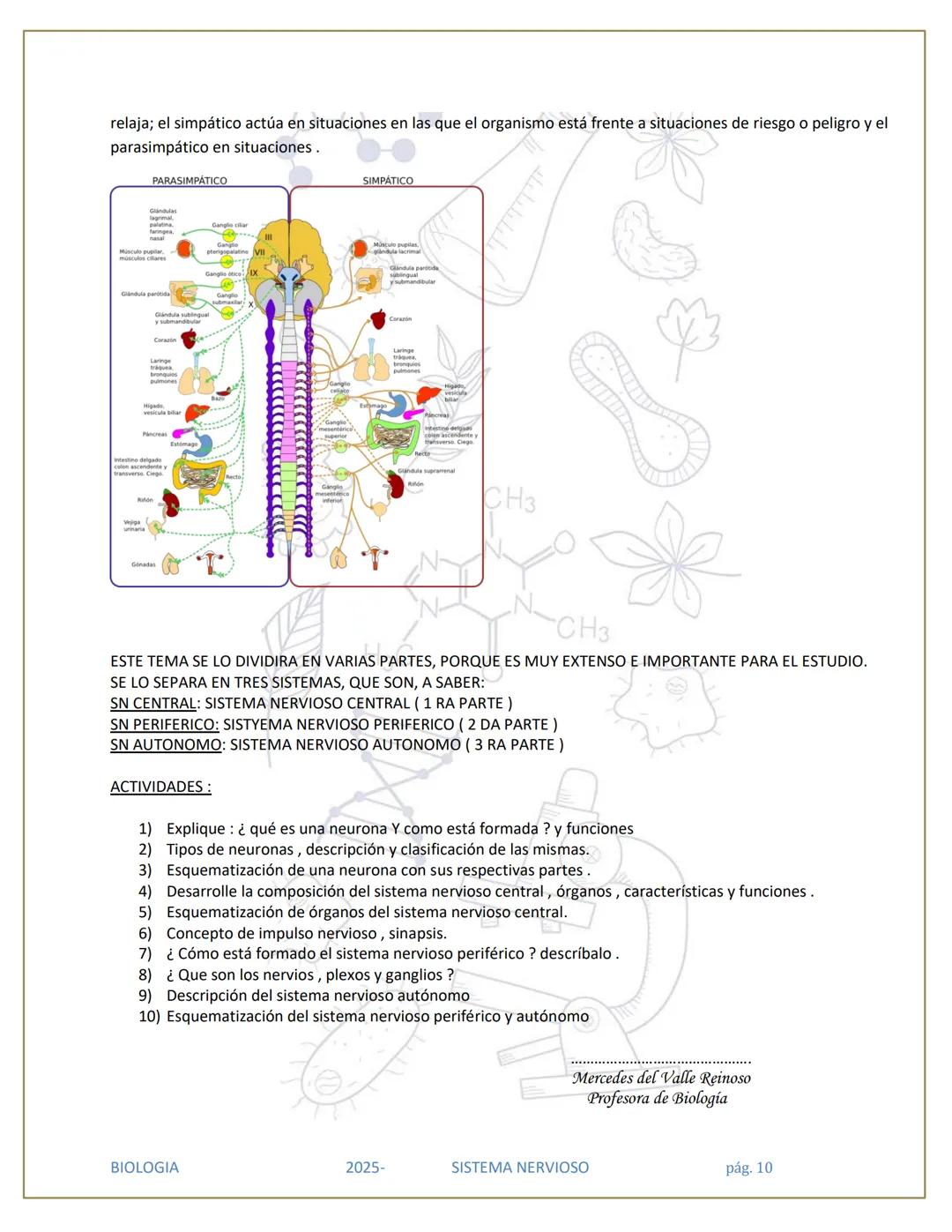 # SISTEMA NERVIOSO
## División del Sistema Nervioso
SISTEMA
NERVIOSO (SN)
SISTEMA
NERVIOSO
CENTRAL (SNC)
SISTEMA NERVIOSO
PERIFÉRICO (SN