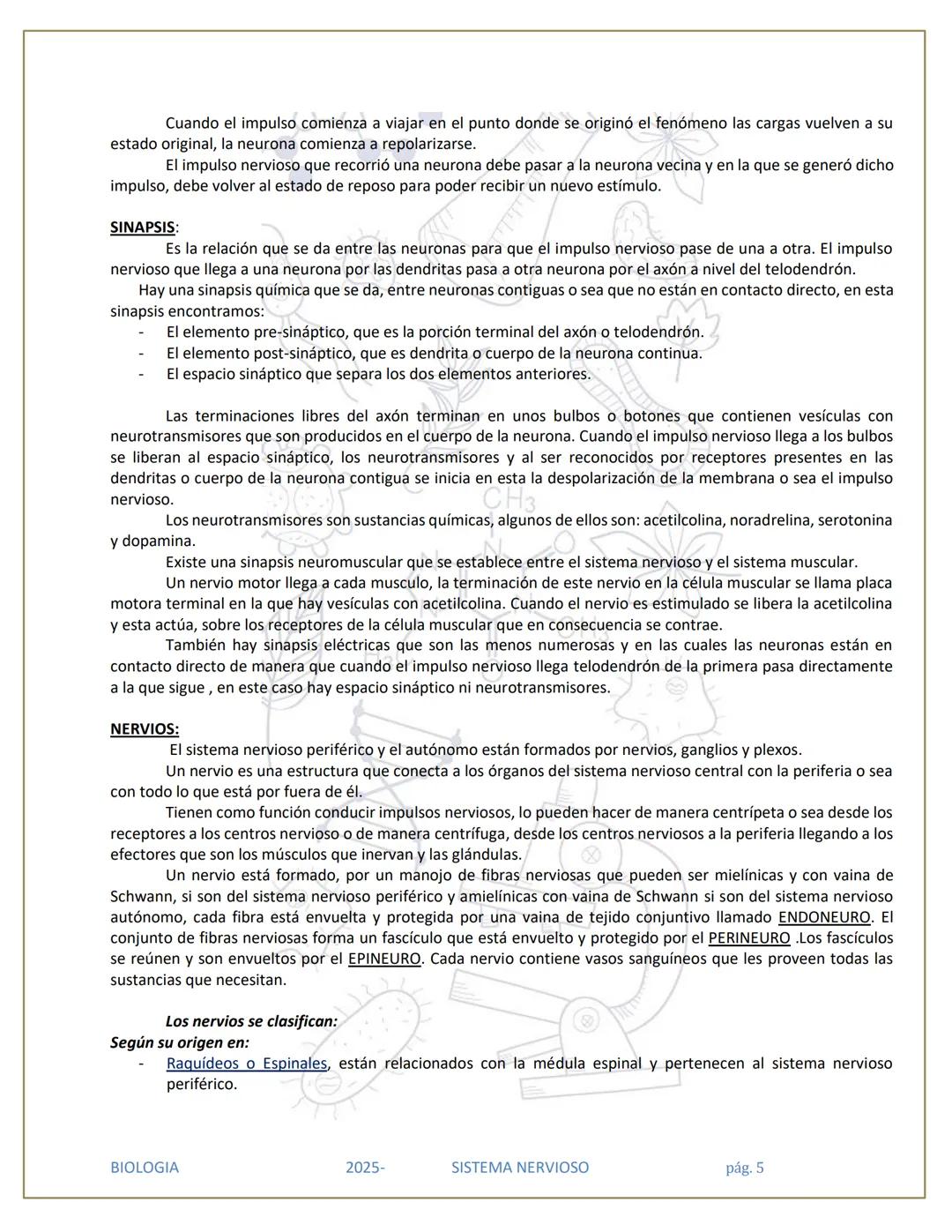 # SISTEMA NERVIOSO
## División del Sistema Nervioso
SISTEMA
NERVIOSO (SN)
SISTEMA
NERVIOSO
CENTRAL (SNC)
SISTEMA NERVIOSO
PERIFÉRICO (SN