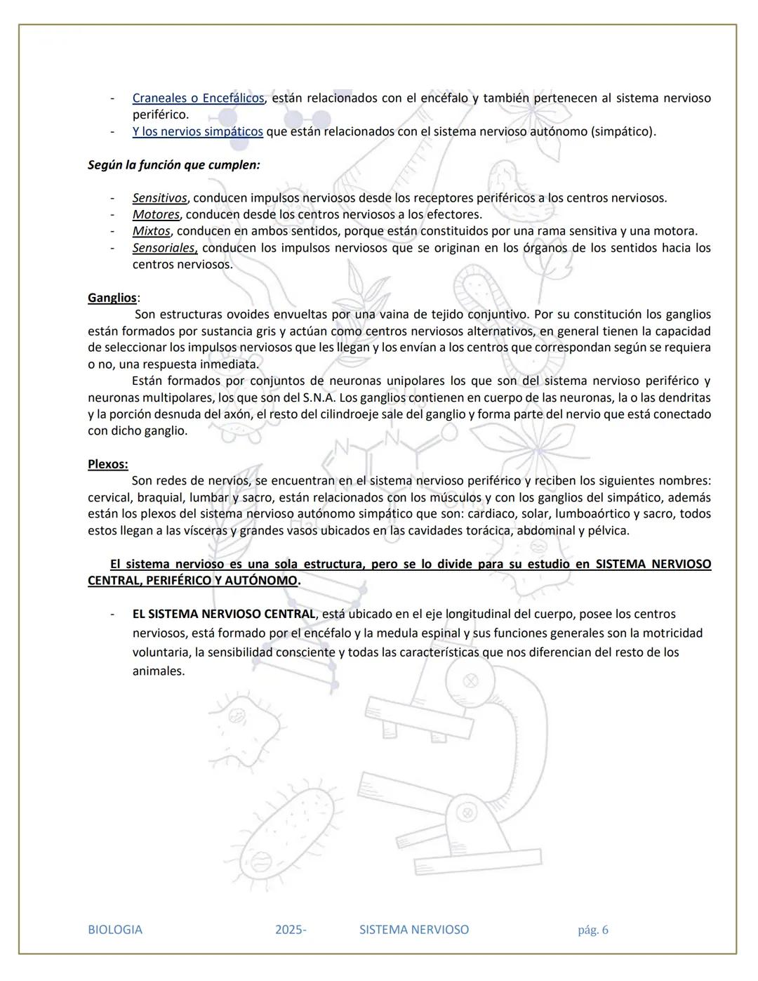 # SISTEMA NERVIOSO
## División del Sistema Nervioso
SISTEMA
NERVIOSO (SN)
SISTEMA
NERVIOSO
CENTRAL (SNC)
SISTEMA NERVIOSO
PERIFÉRICO (SN