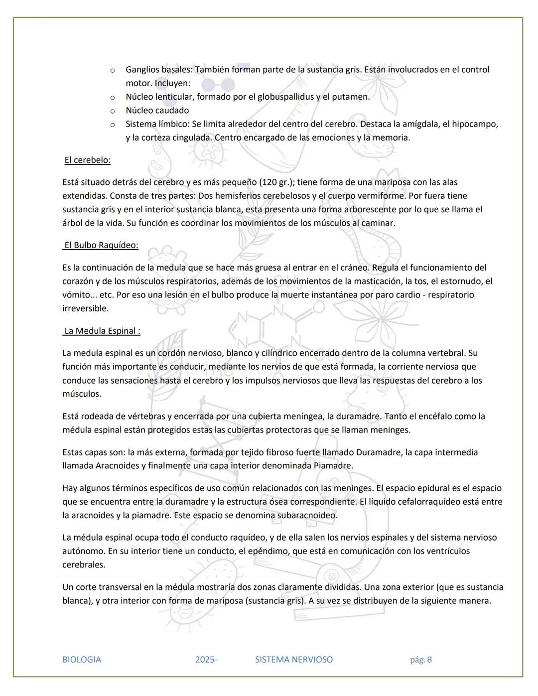 # SISTEMA NERVIOSO
## División del Sistema Nervioso
SISTEMA
NERVIOSO (SN)
SISTEMA
NERVIOSO
CENTRAL (SNC)
SISTEMA NERVIOSO
PERIFÉRICO (SN