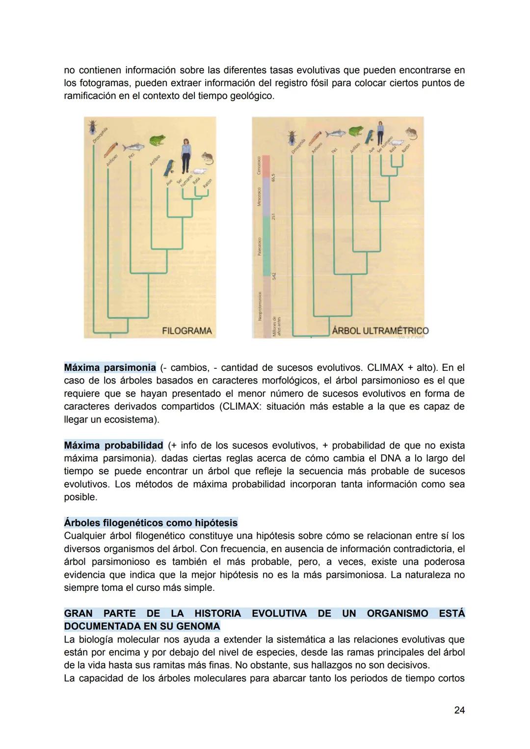 # Final Evolución
Texto: "La evolución y el método científico como cimientos de la enseñanza de la Biología"
## EVOLUCIÓN BIOLÓGICA
Consi