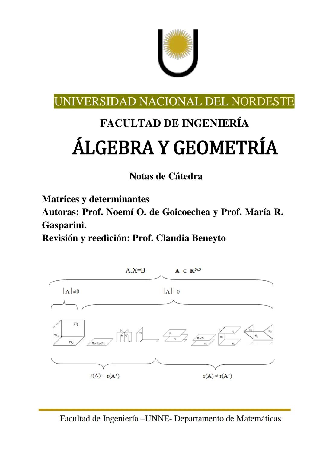 UNIVERSIDAD NACIONAL DEL NORDESTE
FACULTAD DE INGENIERÍA
ÁLGEBRA Y GEOMETRÍA
Notas de Cátedra
Matrices y determinantes
Autoras: Prof. No