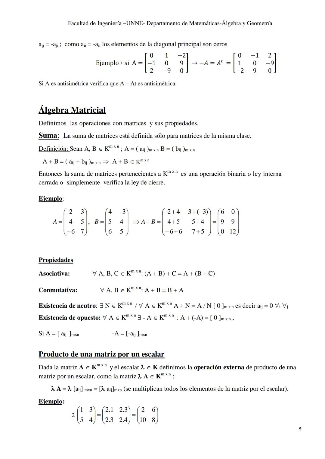 UNIVERSIDAD NACIONAL DEL NORDESTE
FACULTAD DE INGENIERÍA
ÁLGEBRA Y GEOMETRÍA
Notas de Cátedra
Matrices y determinantes
Autoras: Prof. No