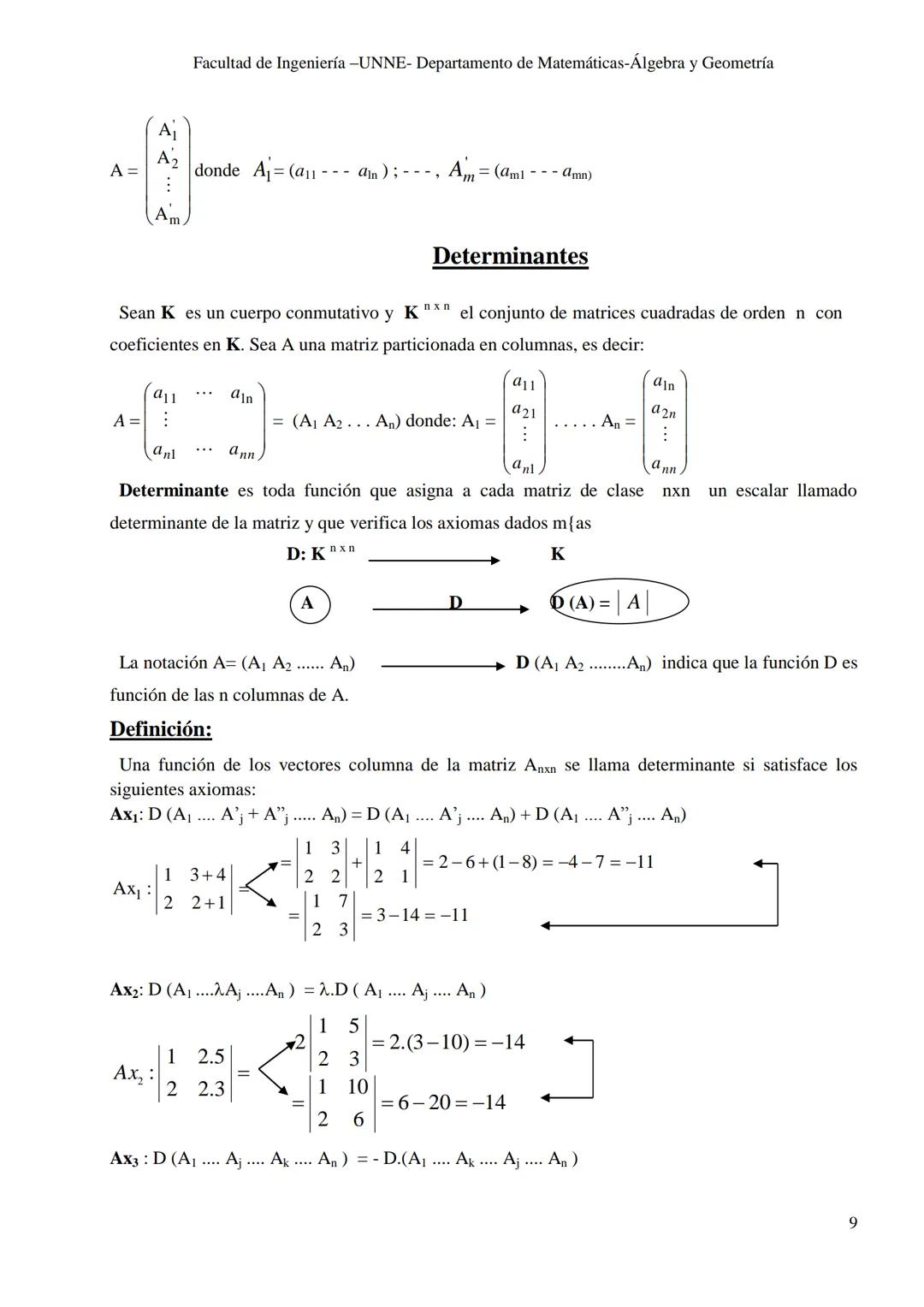 UNIVERSIDAD NACIONAL DEL NORDESTE
FACULTAD DE INGENIERÍA
ÁLGEBRA Y GEOMETRÍA
Notas de Cátedra
Matrices y determinantes
Autoras: Prof. No