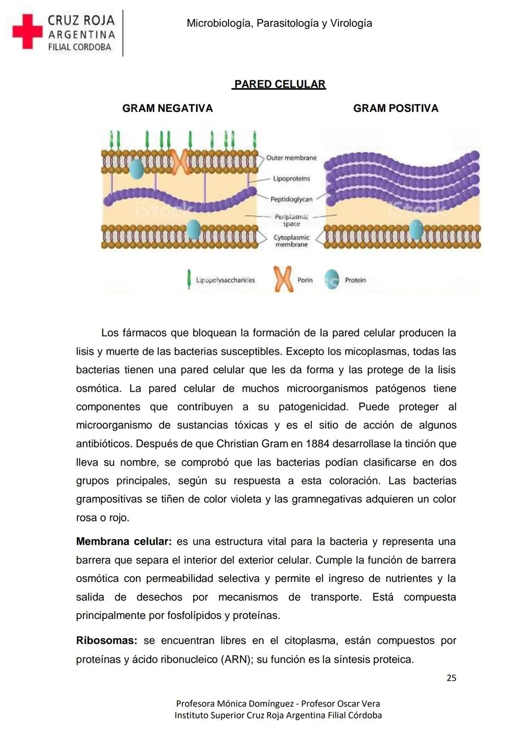 +
CRUZ ROJA
ARGENΤΙΝΑ
FILIAL CÓRDOBA
Instituto Superior
Microbiología,
Parasitología
y
Virología
Profesora Mónica Domínguez
Profesor Osca