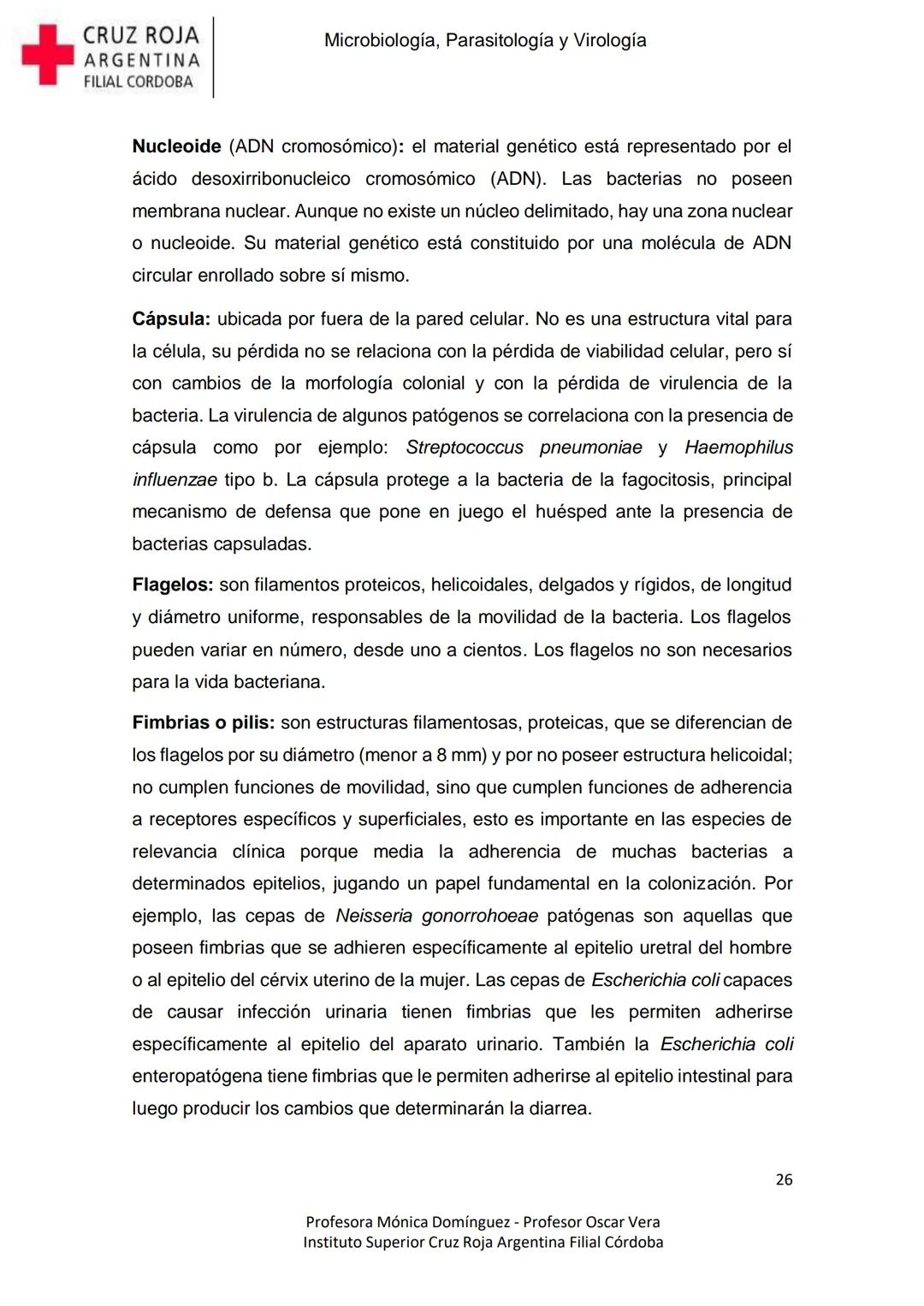 +
CRUZ ROJA
ARGENΤΙΝΑ
FILIAL CÓRDOBA
Instituto Superior
Microbiología,
Parasitología
y
Virología
Profesora Mónica Domínguez
Profesor Osca