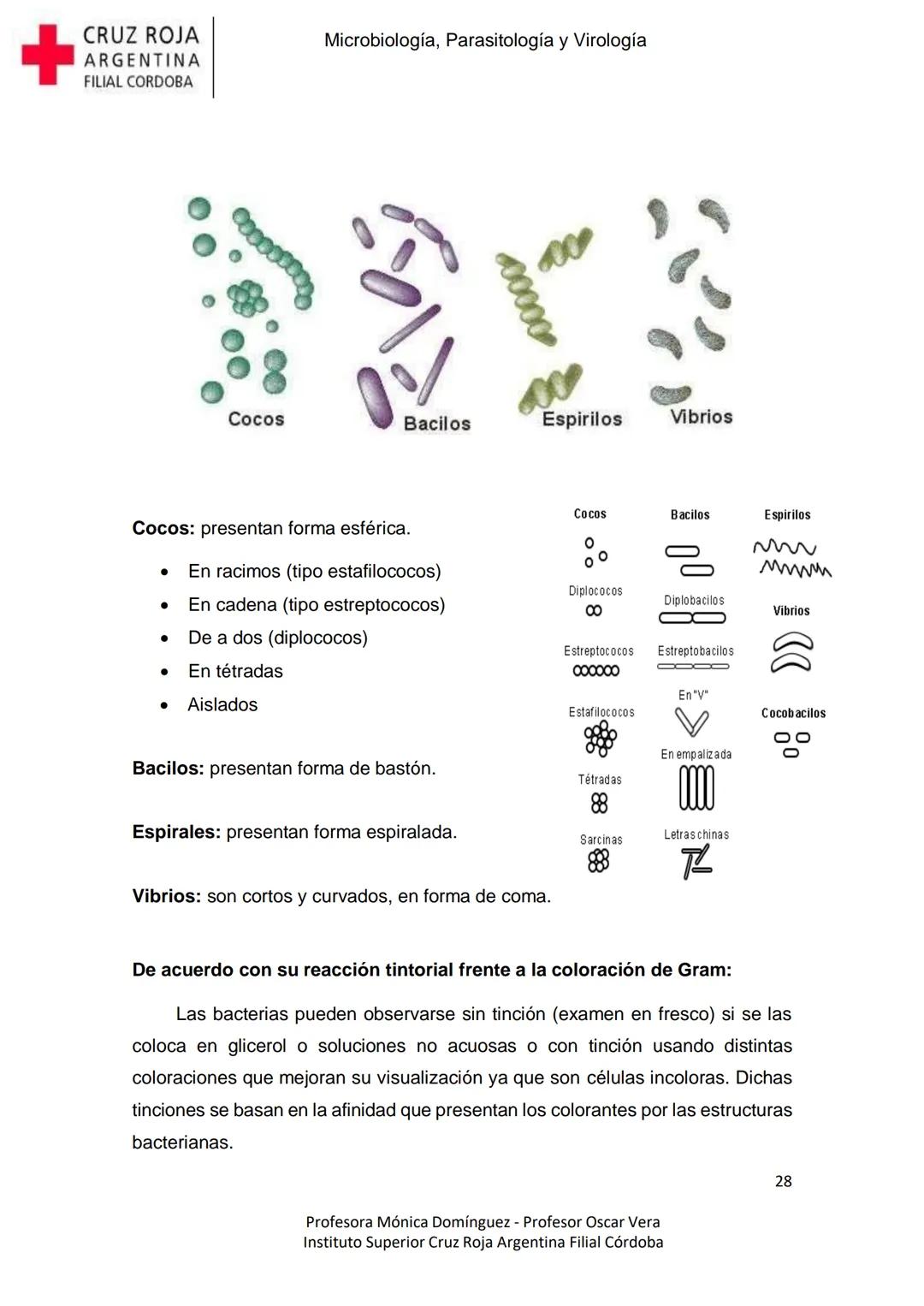 +
CRUZ ROJA
ARGENΤΙΝΑ
FILIAL CÓRDOBA
Instituto Superior
Microbiología,
Parasitología
y
Virología
Profesora Mónica Domínguez
Profesor Osca