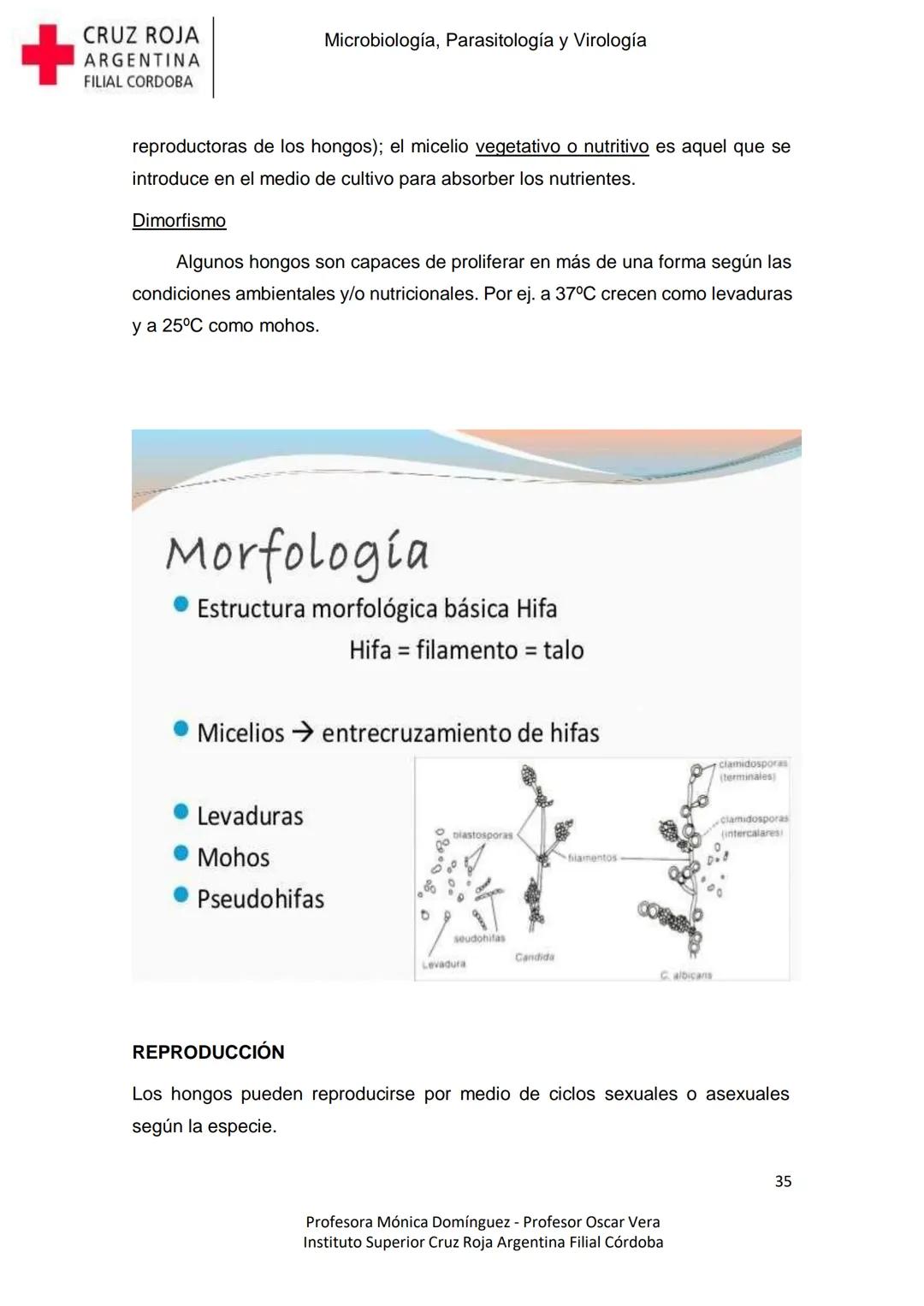+
CRUZ ROJA
ARGENΤΙΝΑ
FILIAL CÓRDOBA
Instituto Superior
Microbiología,
Parasitología
y
Virología
Profesora Mónica Domínguez
Profesor Osca