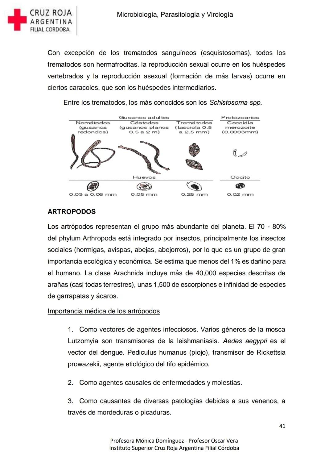 +
CRUZ ROJA
ARGENΤΙΝΑ
FILIAL CÓRDOBA
Instituto Superior
Microbiología,
Parasitología
y
Virología
Profesora Mónica Domínguez
Profesor Osca