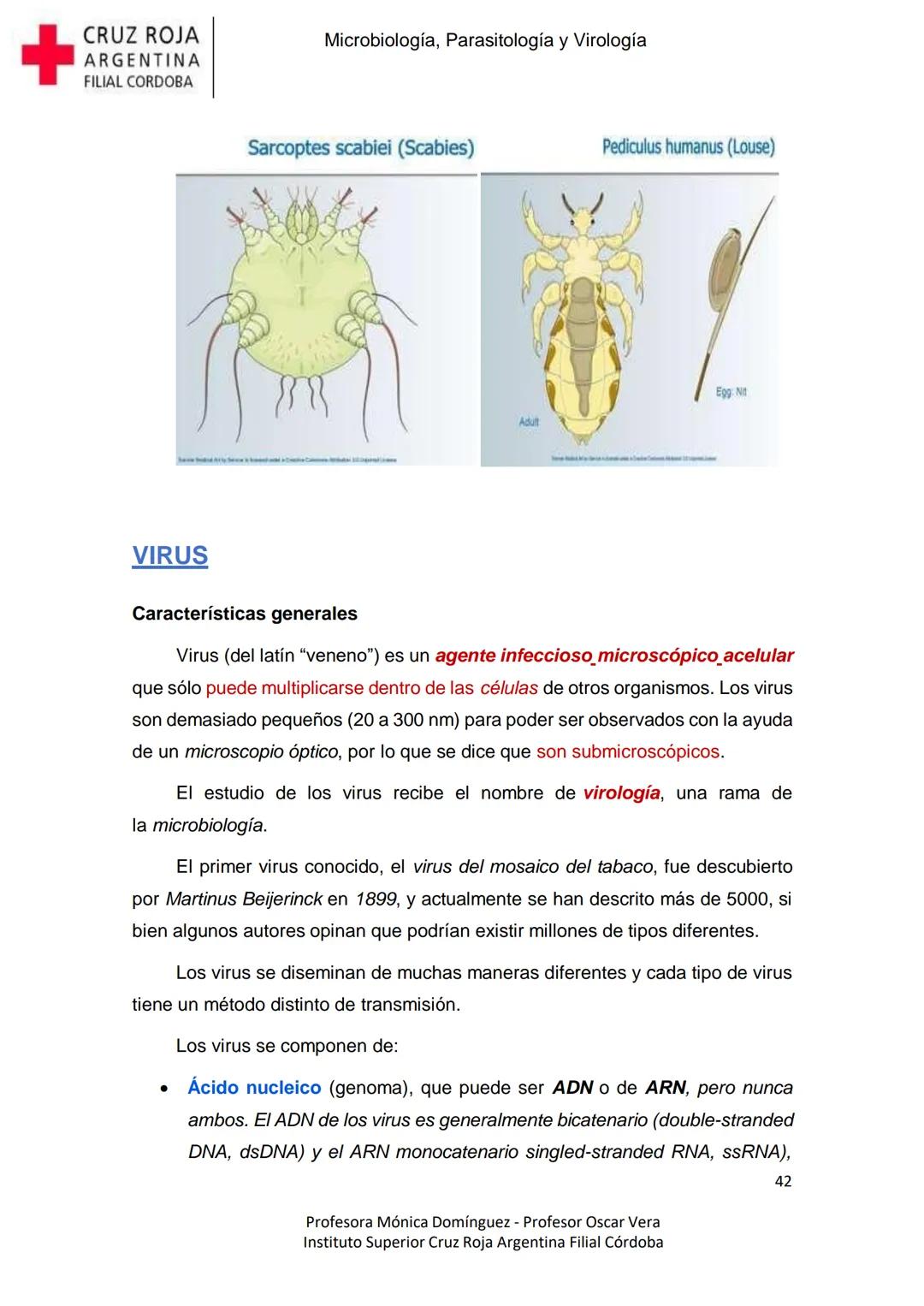 +
CRUZ ROJA
ARGENΤΙΝΑ
FILIAL CÓRDOBA
Instituto Superior
Microbiología,
Parasitología
y
Virología
Profesora Mónica Domínguez
Profesor Osca