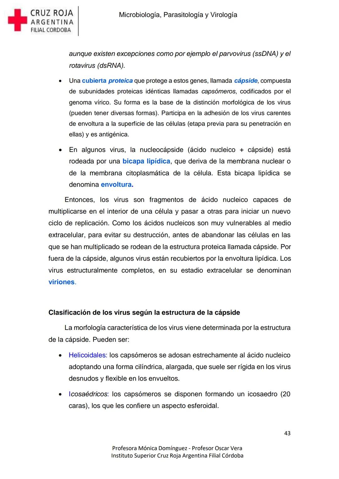 +
CRUZ ROJA
ARGENΤΙΝΑ
FILIAL CÓRDOBA
Instituto Superior
Microbiología,
Parasitología
y
Virología
Profesora Mónica Domínguez
Profesor Osca