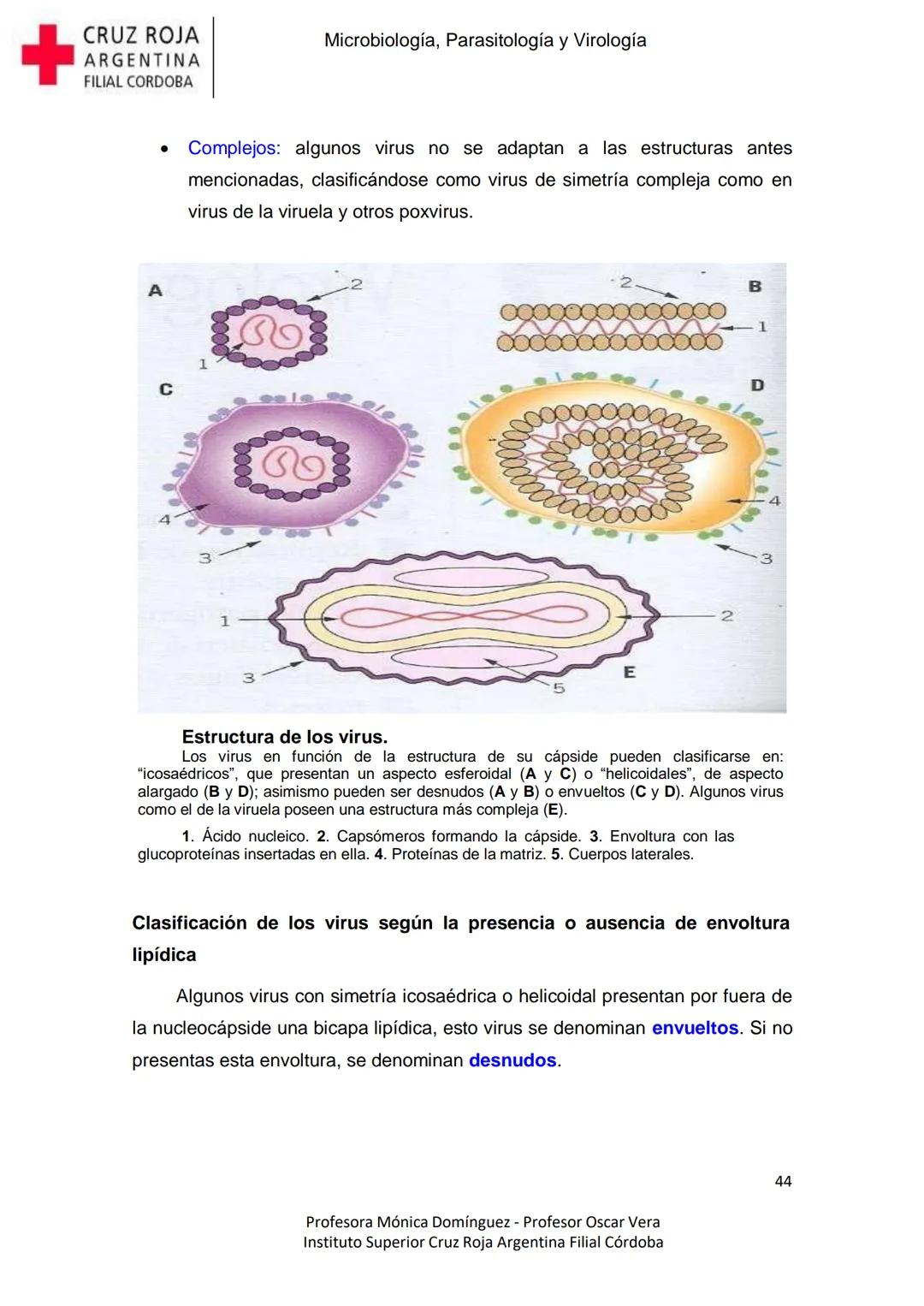 +
CRUZ ROJA
ARGENΤΙΝΑ
FILIAL CÓRDOBA
Instituto Superior
Microbiología,
Parasitología
y
Virología
Profesora Mónica Domínguez
Profesor Osca