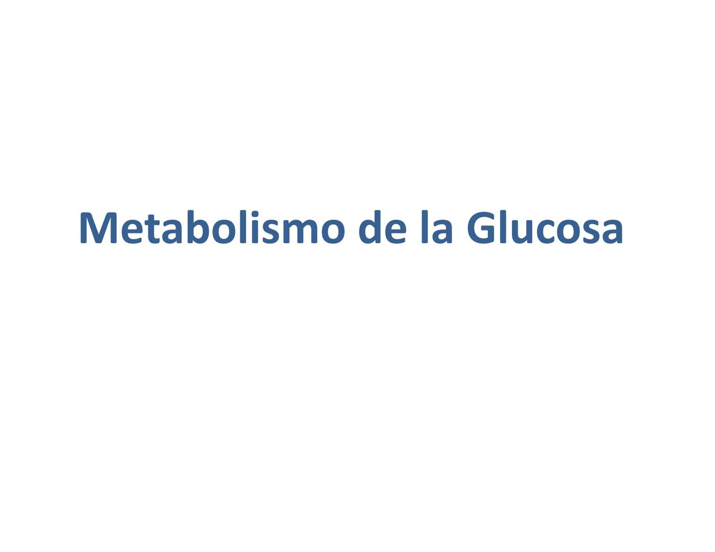 # Metabolismo de la Glucosa Proteínas Polisacáridos Lípidos
Aminoácidos Glucosa
1
Glicerol,
Acidos grasos
↓*
Piruvato
Acetil-CoA
2
Ci