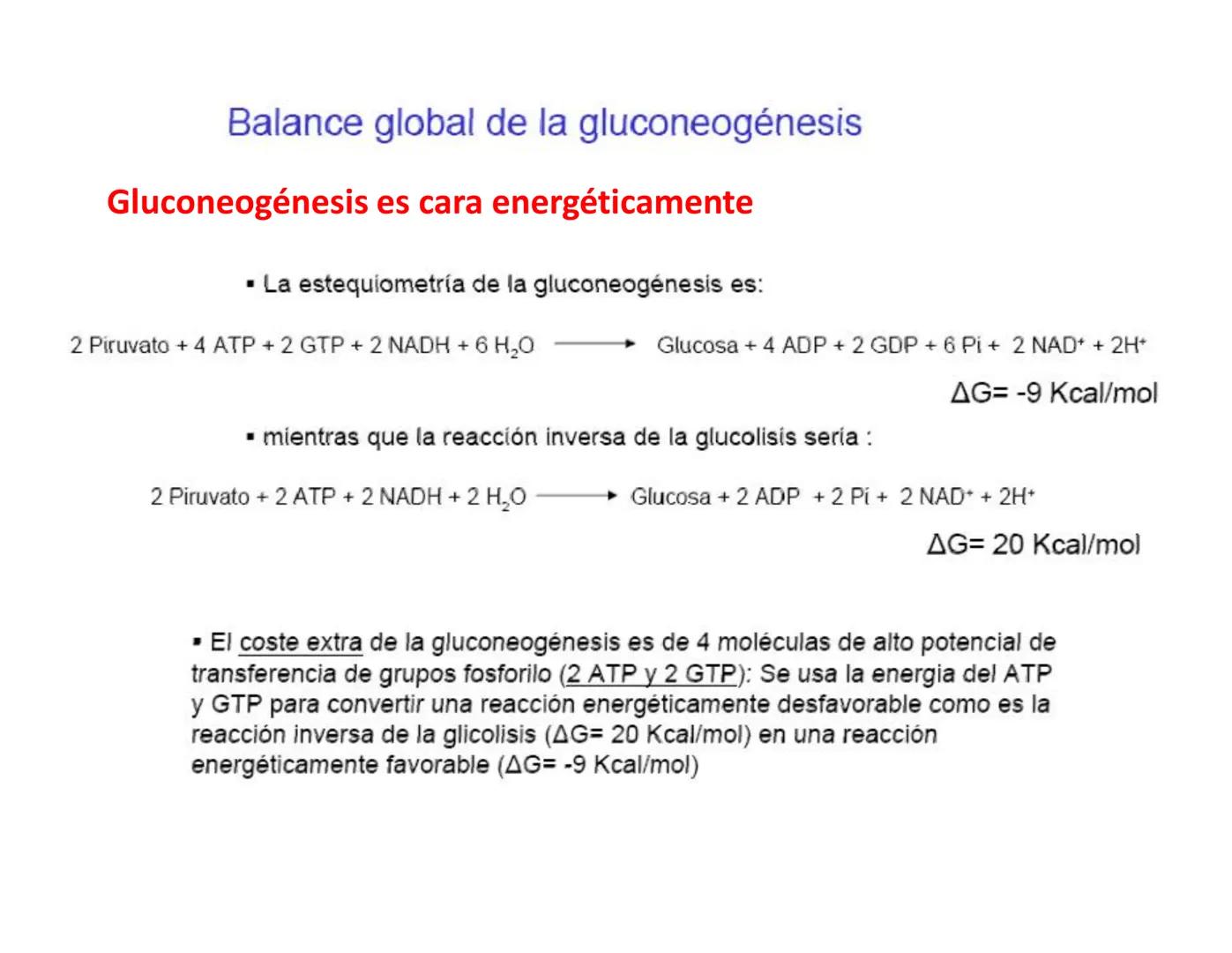 # Metabolismo de la Glucosa Proteínas Polisacáridos Lípidos
Aminoácidos Glucosa
1
Glicerol,
Acidos grasos
↓*
Piruvato
Acetil-CoA
2
Ci