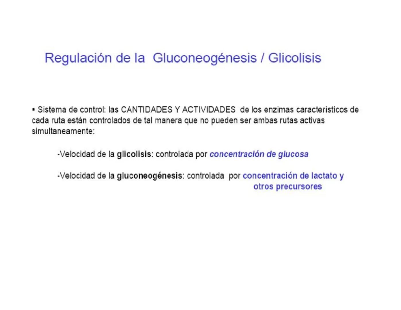 # Metabolismo de la Glucosa Proteínas Polisacáridos Lípidos
Aminoácidos Glucosa
1
Glicerol,
Acidos grasos
↓*
Piruvato
Acetil-CoA
2
Ci