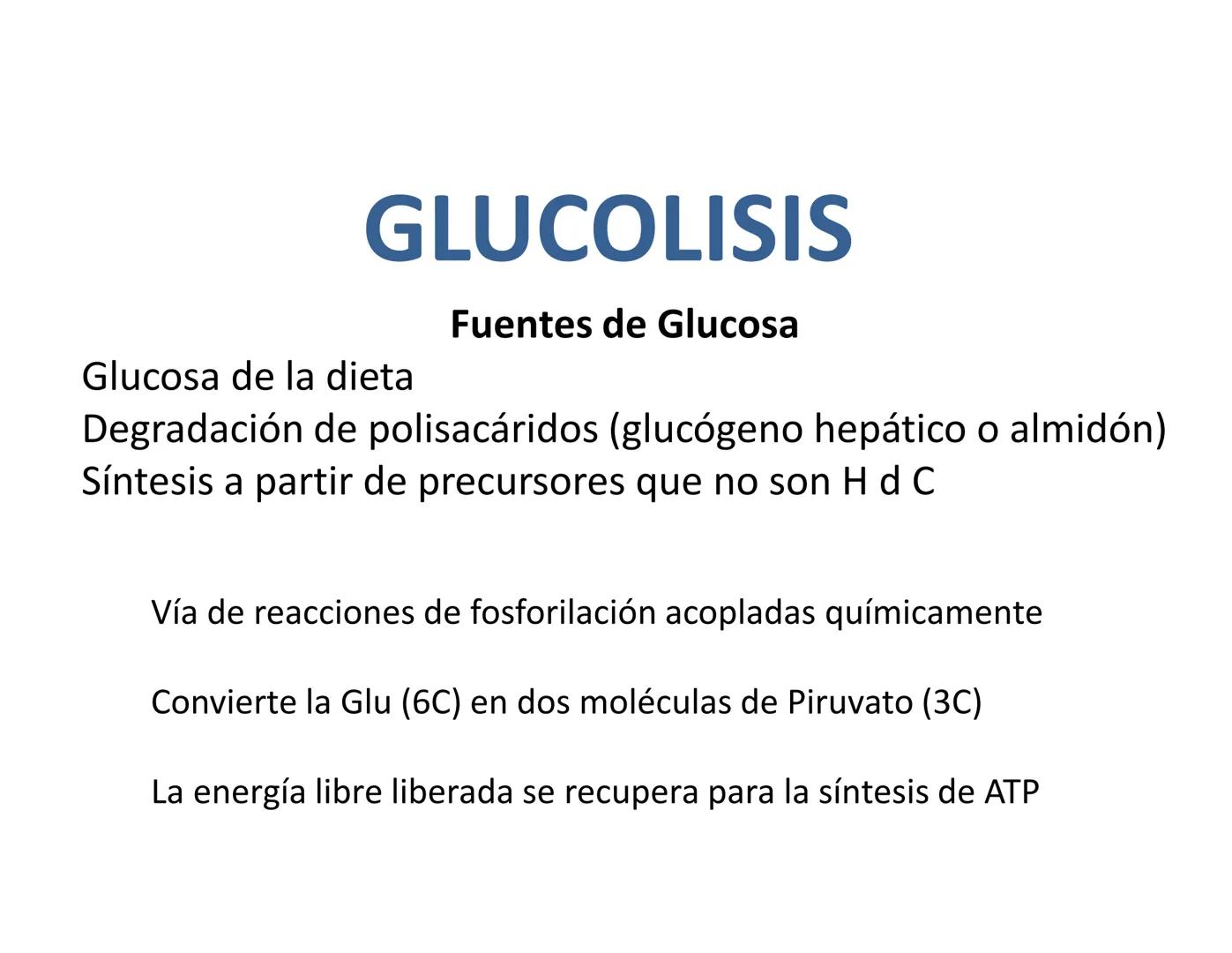 # Metabolismo de la Glucosa Proteínas Polisacáridos Lípidos
Aminoácidos Glucosa
1
Glicerol,
Acidos grasos
↓*
Piruvato
Acetil-CoA
2
Ci