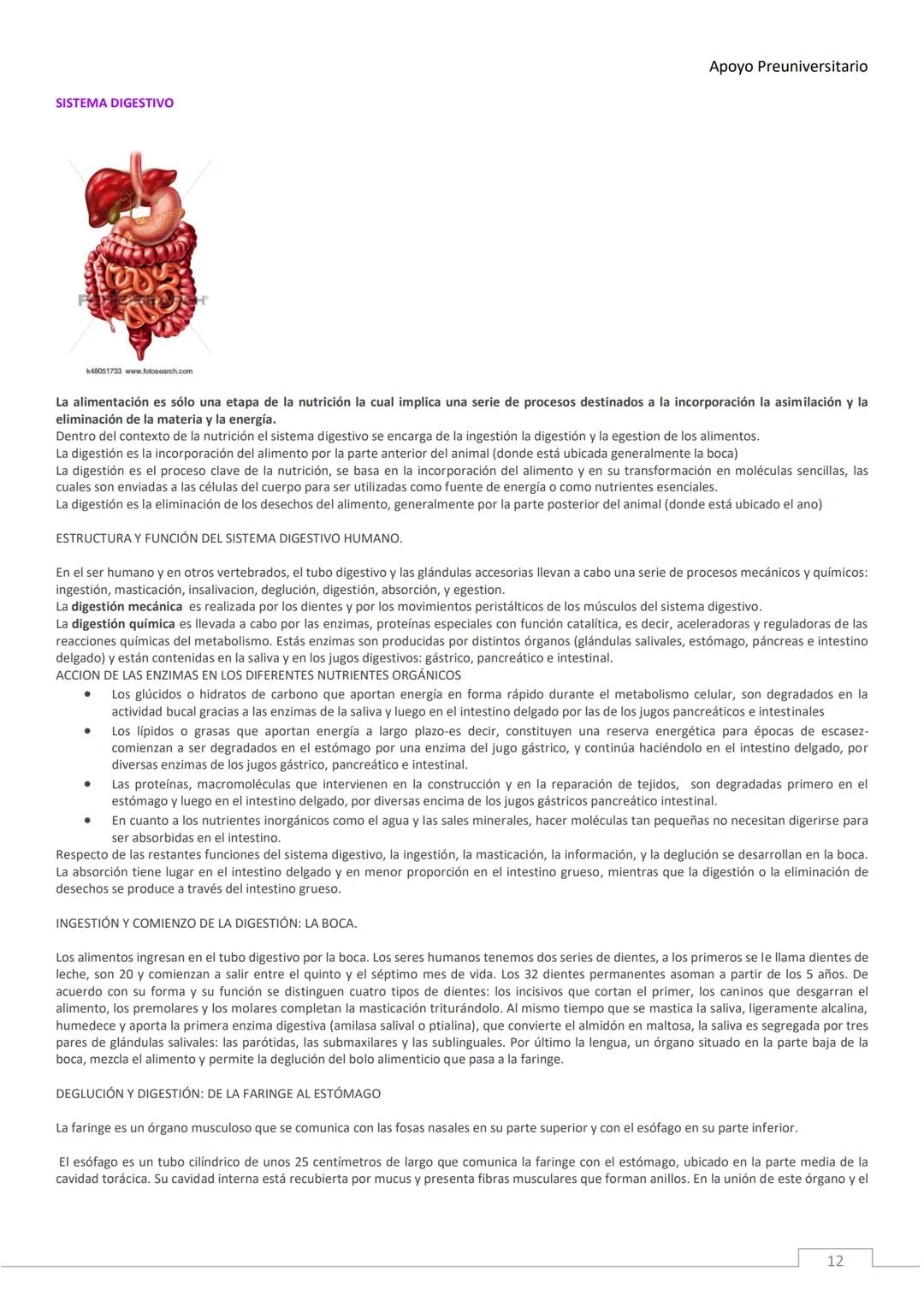 APOYO PRE-
UNIVERSITARIO
ENFERMERÍA
2020-2021
MORFOFISIOLOGÍA
Profesora Díaz Yamila Apoyo Preuniversitario
CONTENIDOS:
La célula, unidad