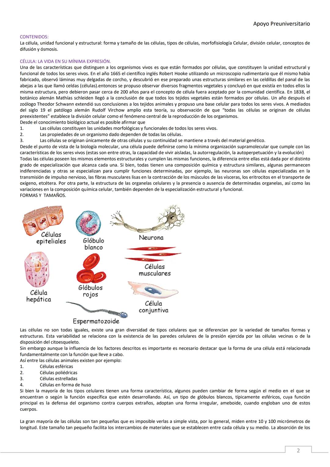 APOYO PRE-
UNIVERSITARIO
ENFERMERÍA
2020-2021
MORFOFISIOLOGÍA
Profesora Díaz Yamila Apoyo Preuniversitario
CONTENIDOS:
La célula, unidad