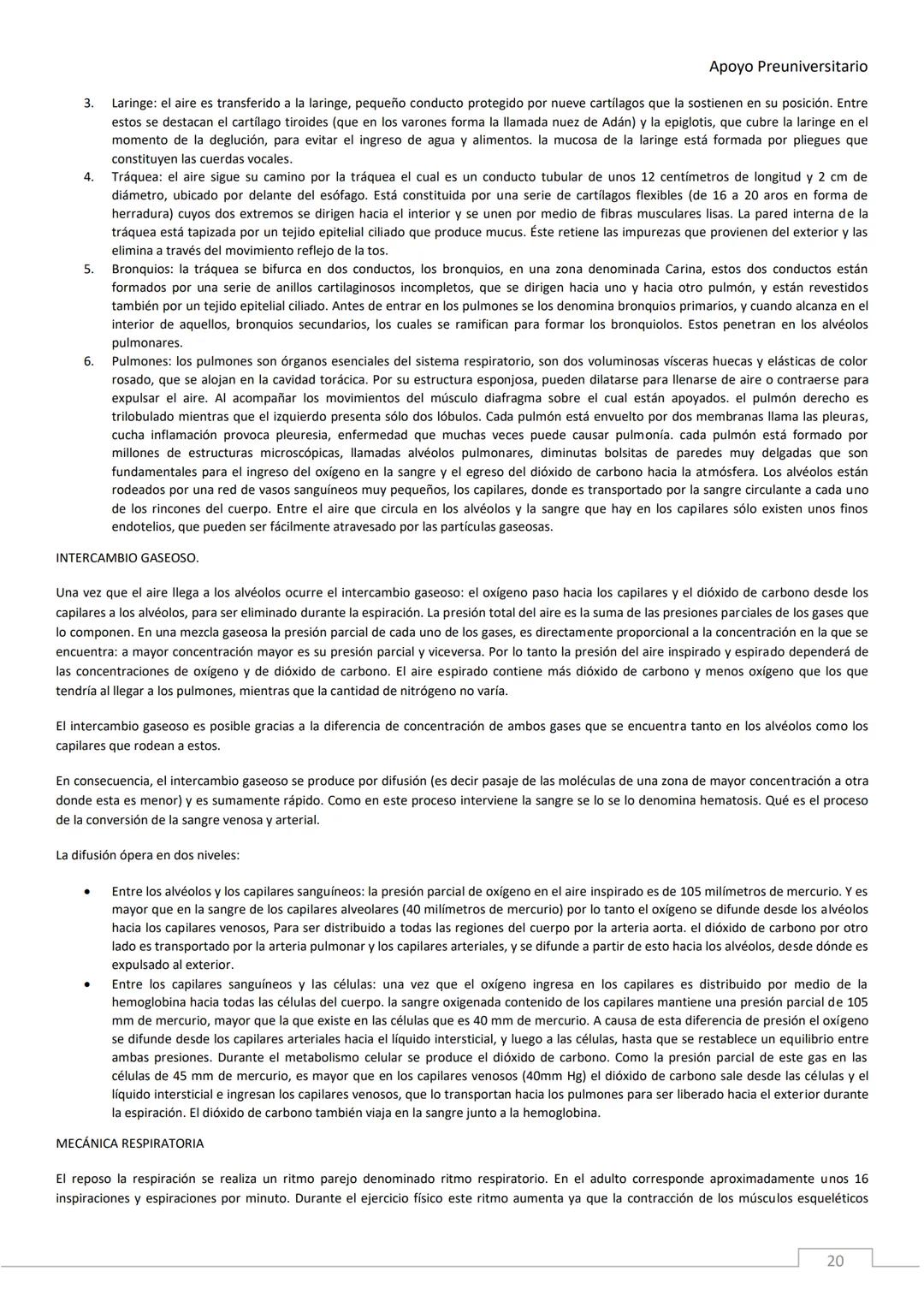 APOYO PRE-
UNIVERSITARIO
ENFERMERÍA
2020-2021
MORFOFISIOLOGÍA
Profesora Díaz Yamila Apoyo Preuniversitario
CONTENIDOS:
La célula, unidad