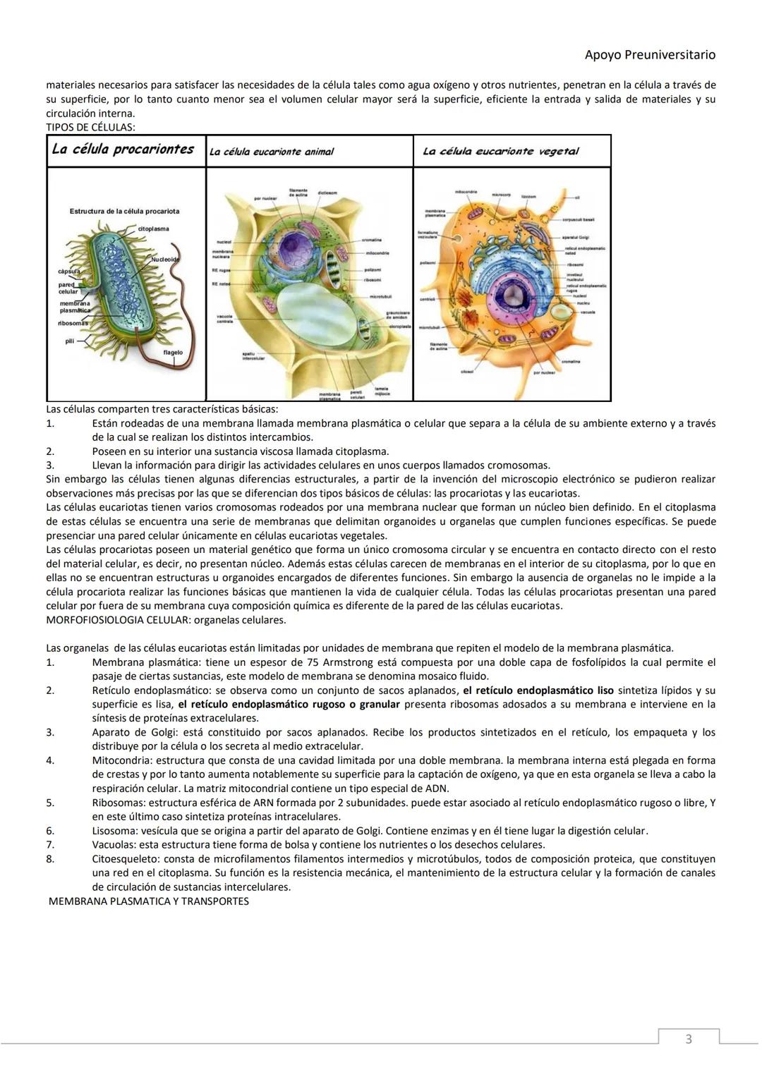 APOYO PRE-
UNIVERSITARIO
ENFERMERÍA
2020-2021
MORFOFISIOLOGÍA
Profesora Díaz Yamila Apoyo Preuniversitario
CONTENIDOS:
La célula, unidad
