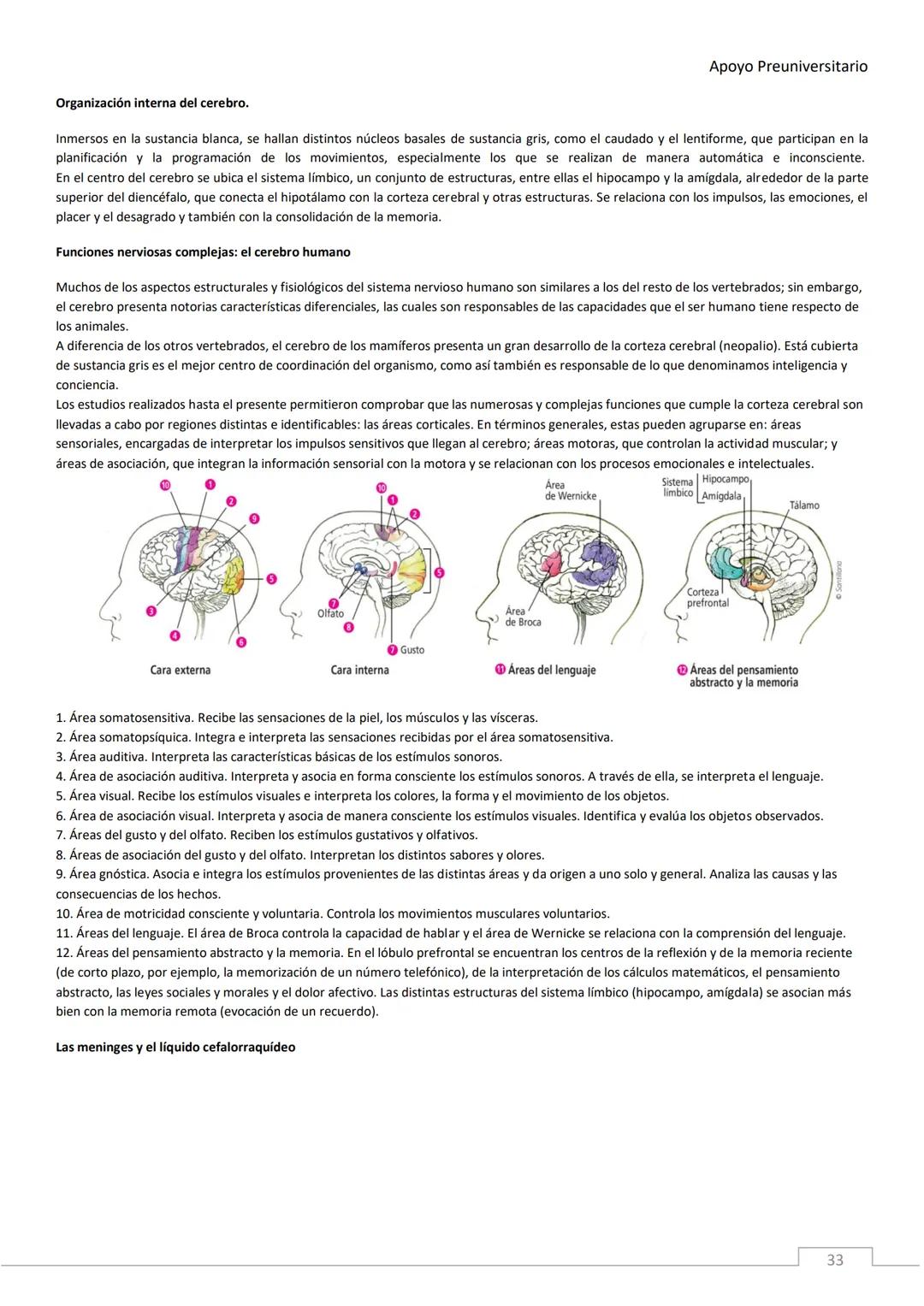 APOYO PRE-
UNIVERSITARIO
ENFERMERÍA
2020-2021
MORFOFISIOLOGÍA
Profesora Díaz Yamila Apoyo Preuniversitario
CONTENIDOS:
La célula, unidad