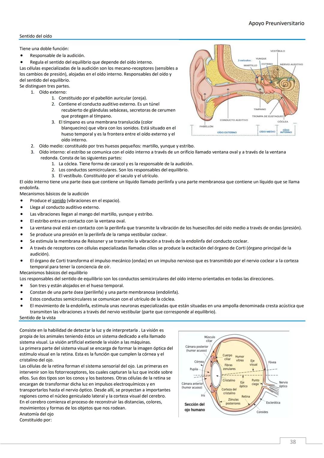 APOYO PRE-
UNIVERSITARIO
ENFERMERÍA
2020-2021
MORFOFISIOLOGÍA
Profesora Díaz Yamila Apoyo Preuniversitario
CONTENIDOS:
La célula, unidad