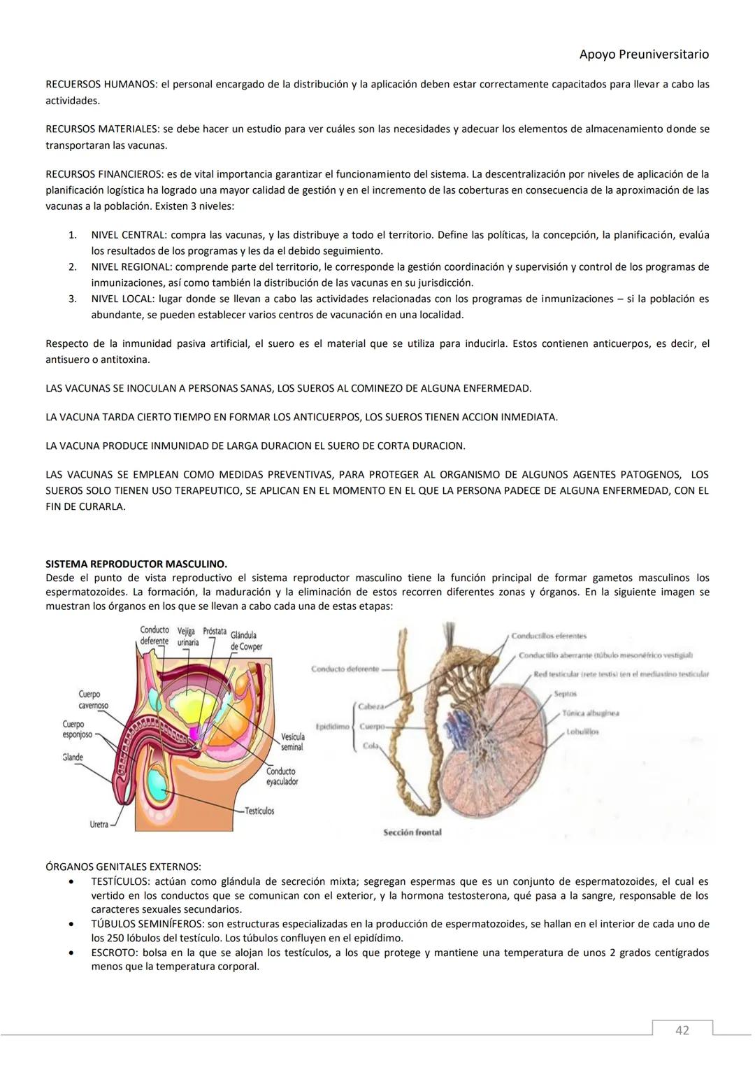 APOYO PRE-
UNIVERSITARIO
ENFERMERÍA
2020-2021
MORFOFISIOLOGÍA
Profesora Díaz Yamila Apoyo Preuniversitario
CONTENIDOS:
La célula, unidad