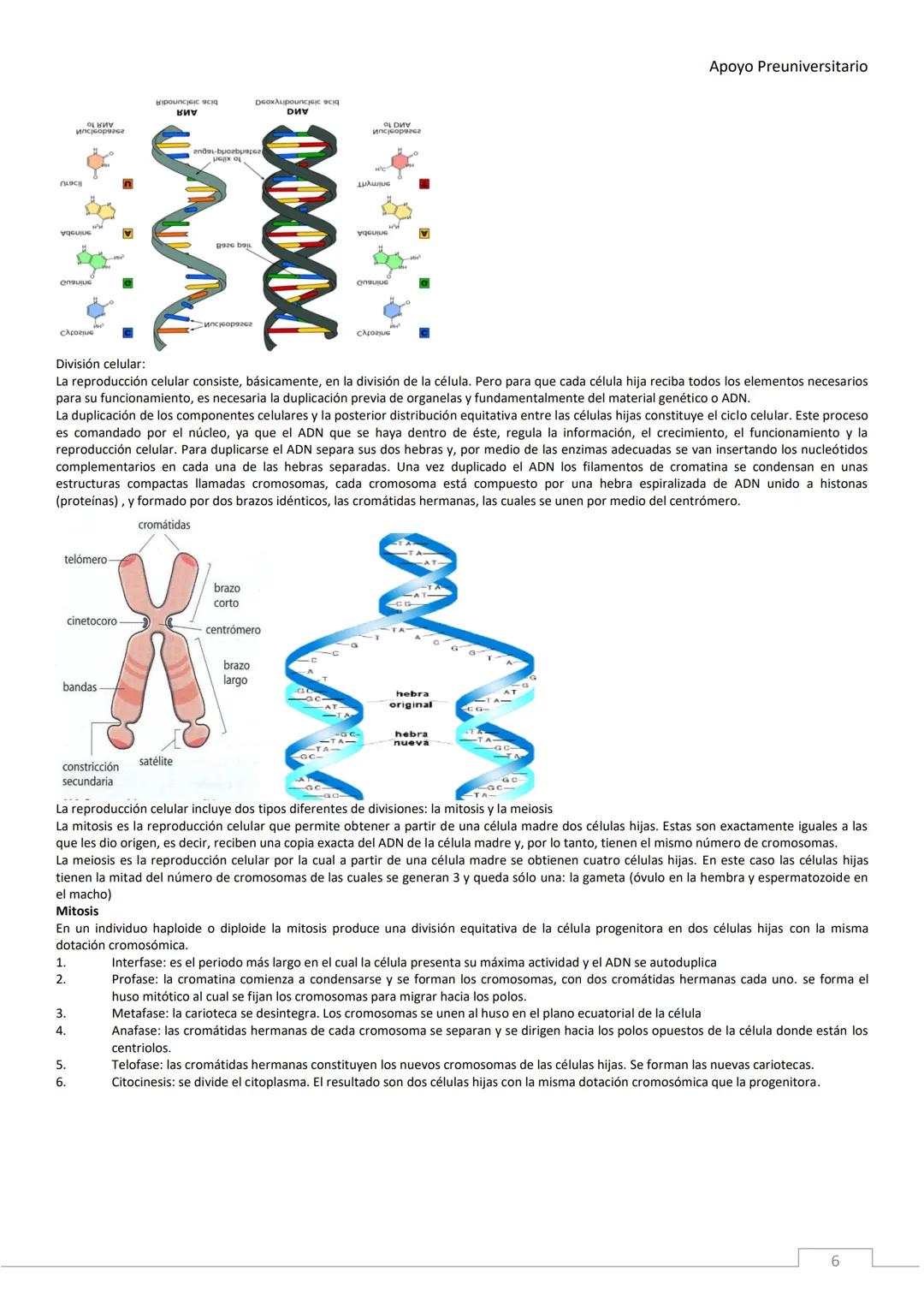 APOYO PRE-
UNIVERSITARIO
ENFERMERÍA
2020-2021
MORFOFISIOLOGÍA
Profesora Díaz Yamila Apoyo Preuniversitario
CONTENIDOS:
La célula, unidad
