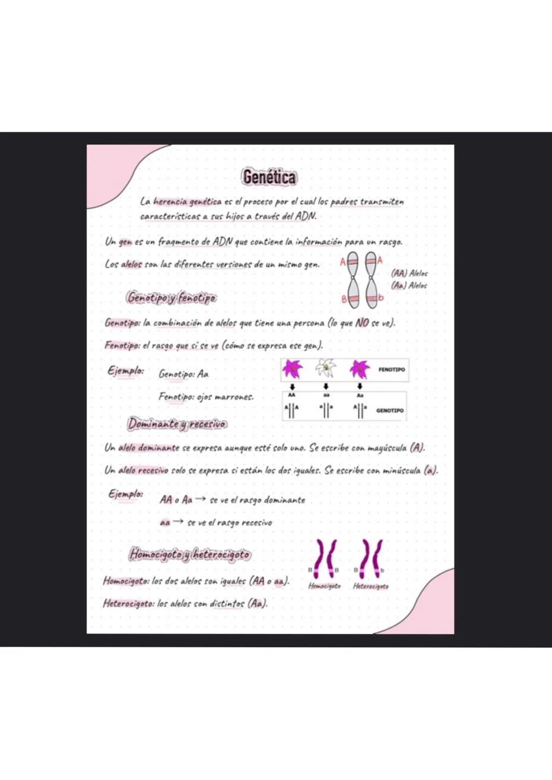 # La célula
¿Que es la célula?
La célula es la unidad más pequeña de la vida. La célula están formadas por organelas
En ella existen dos t