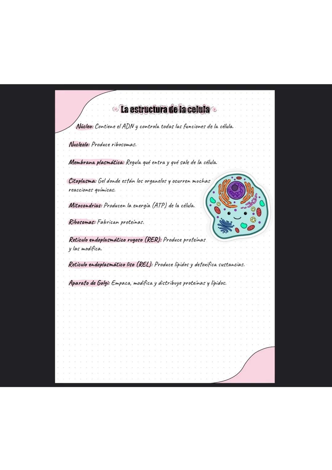 # La célula
¿Que es la célula?
La célula es la unidad más pequeña de la vida. La célula están formadas por organelas
En ella existen dos t