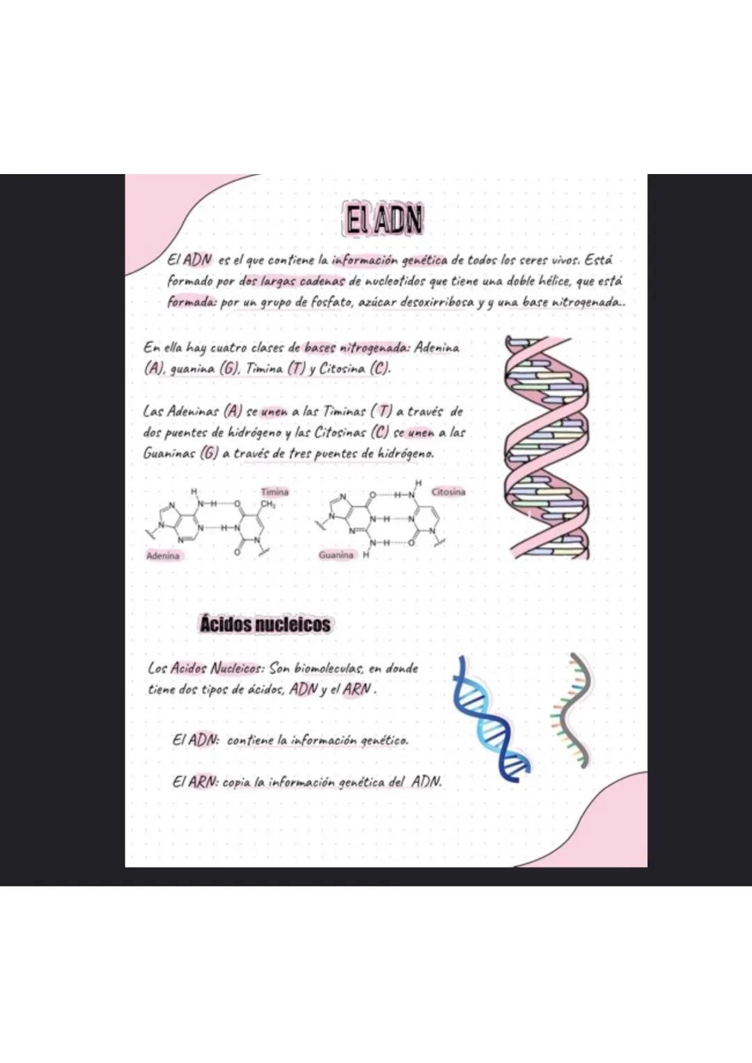 # La célula
¿Que es la célula?
La célula es la unidad más pequeña de la vida. La célula están formadas por organelas
En ella existen dos t