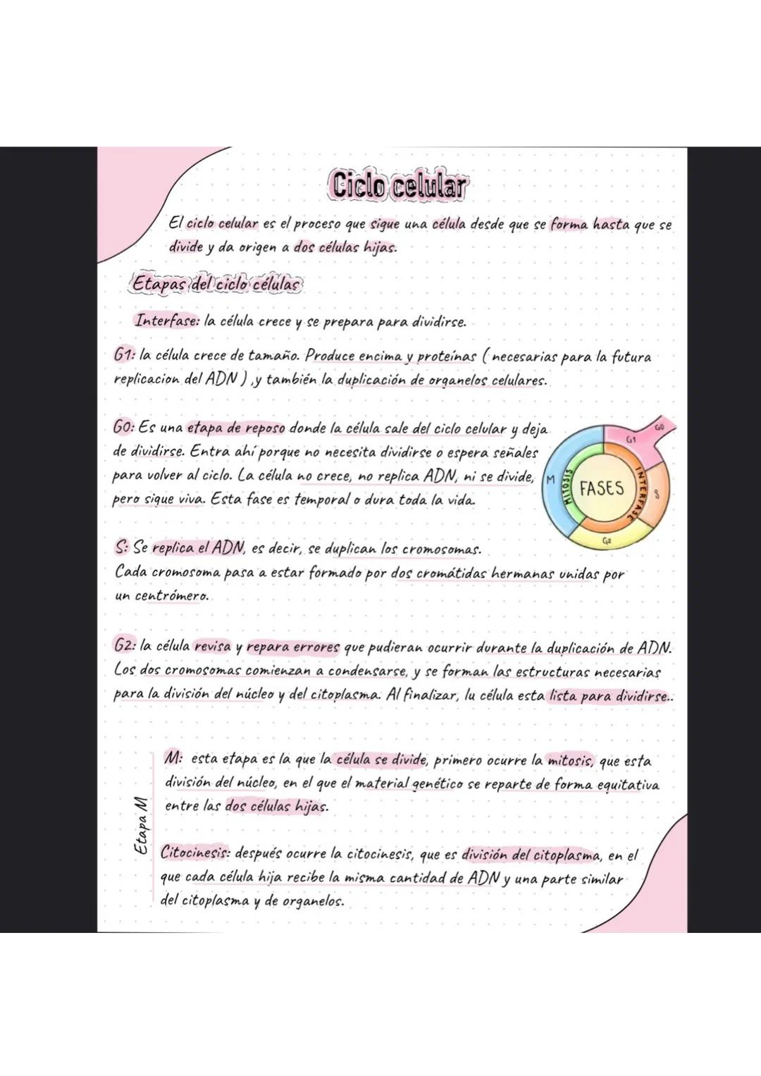 # La célula
¿Que es la célula?
La célula es la unidad más pequeña de la vida. La célula están formadas por organelas
En ella existen dos t