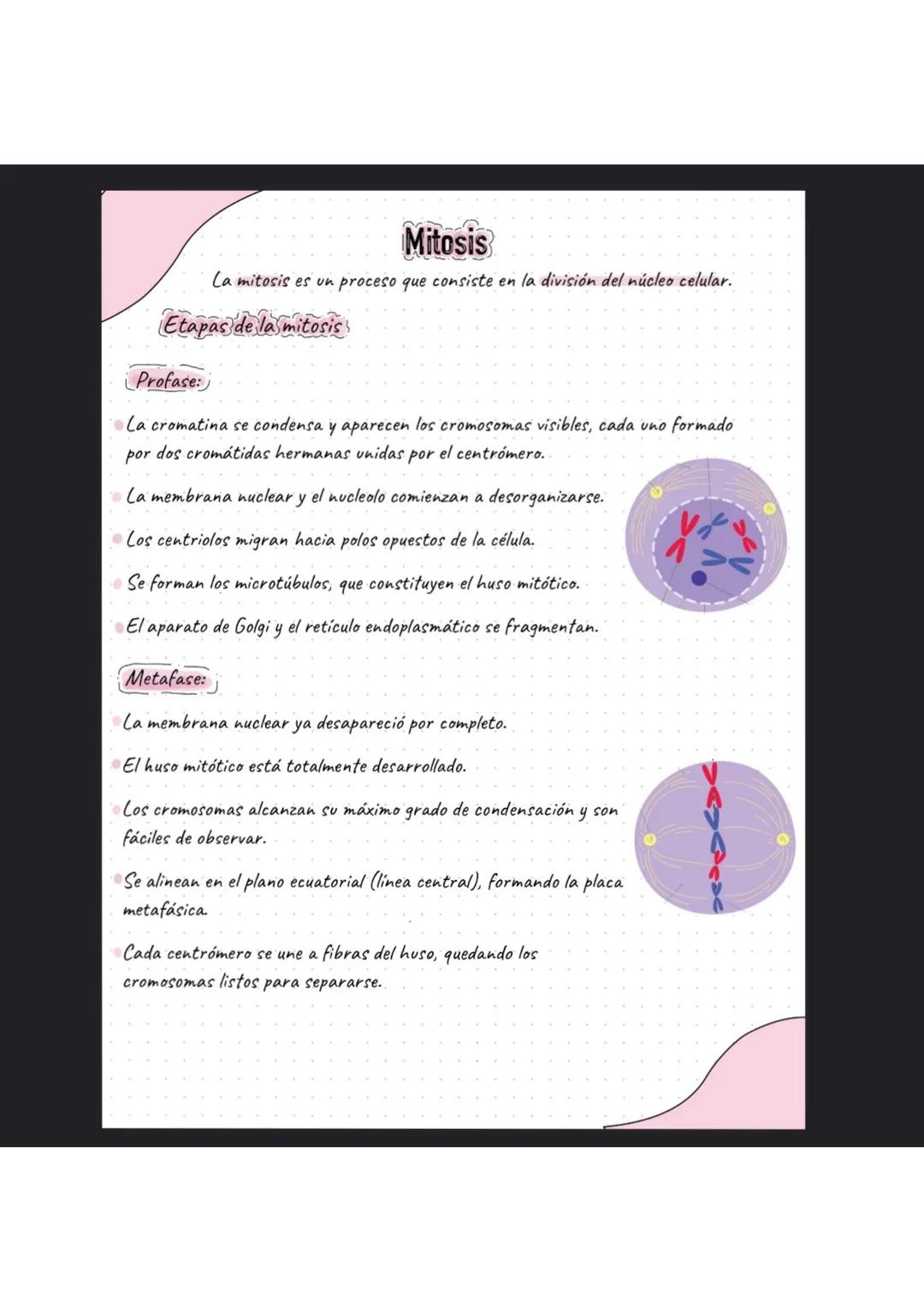 # La célula
¿Que es la célula?
La célula es la unidad más pequeña de la vida. La célula están formadas por organelas
En ella existen dos t